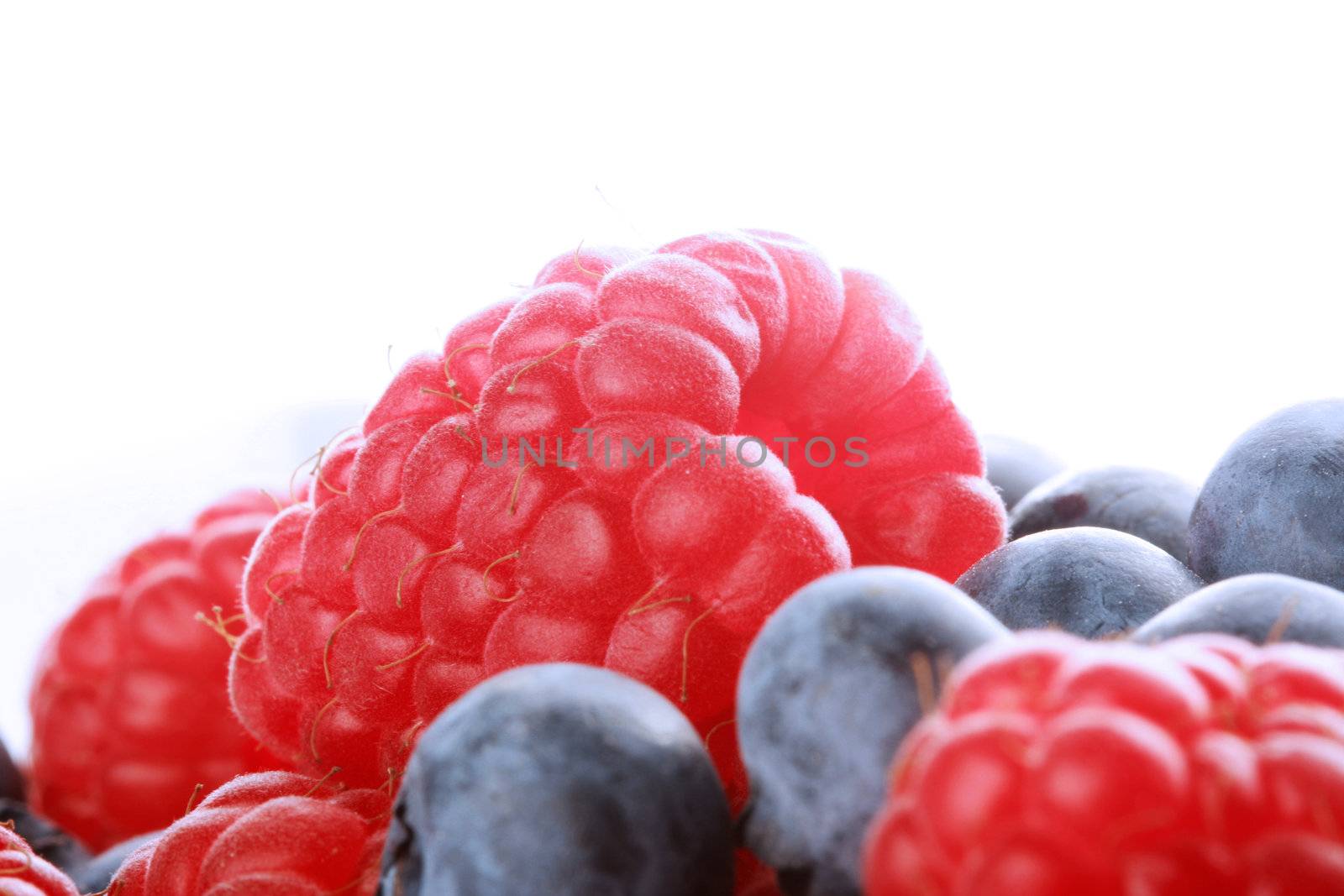 Raspberries and blueberries shot in studio with blue filtered lighting,