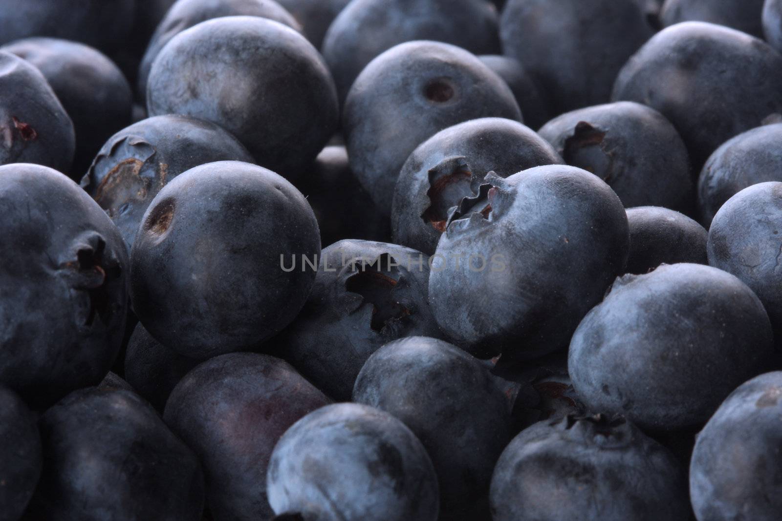 bunch of fresh blueberries, good fruit background
