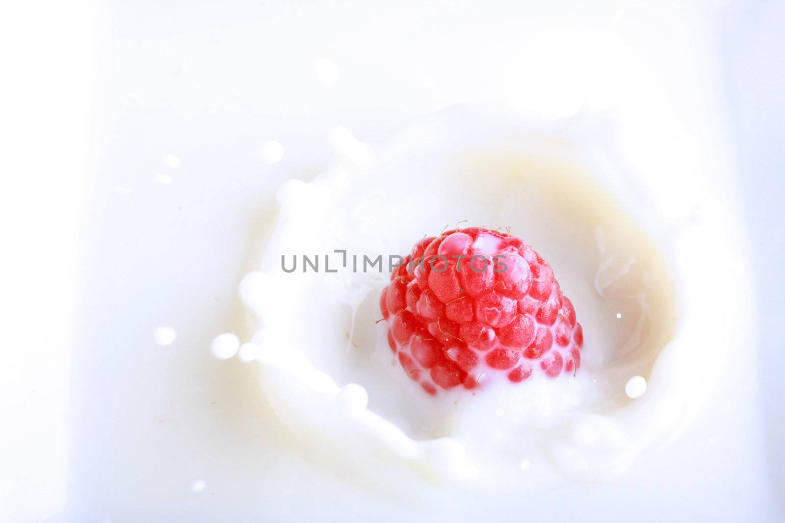 Fresh berry splashing in milk, great concept of freshness