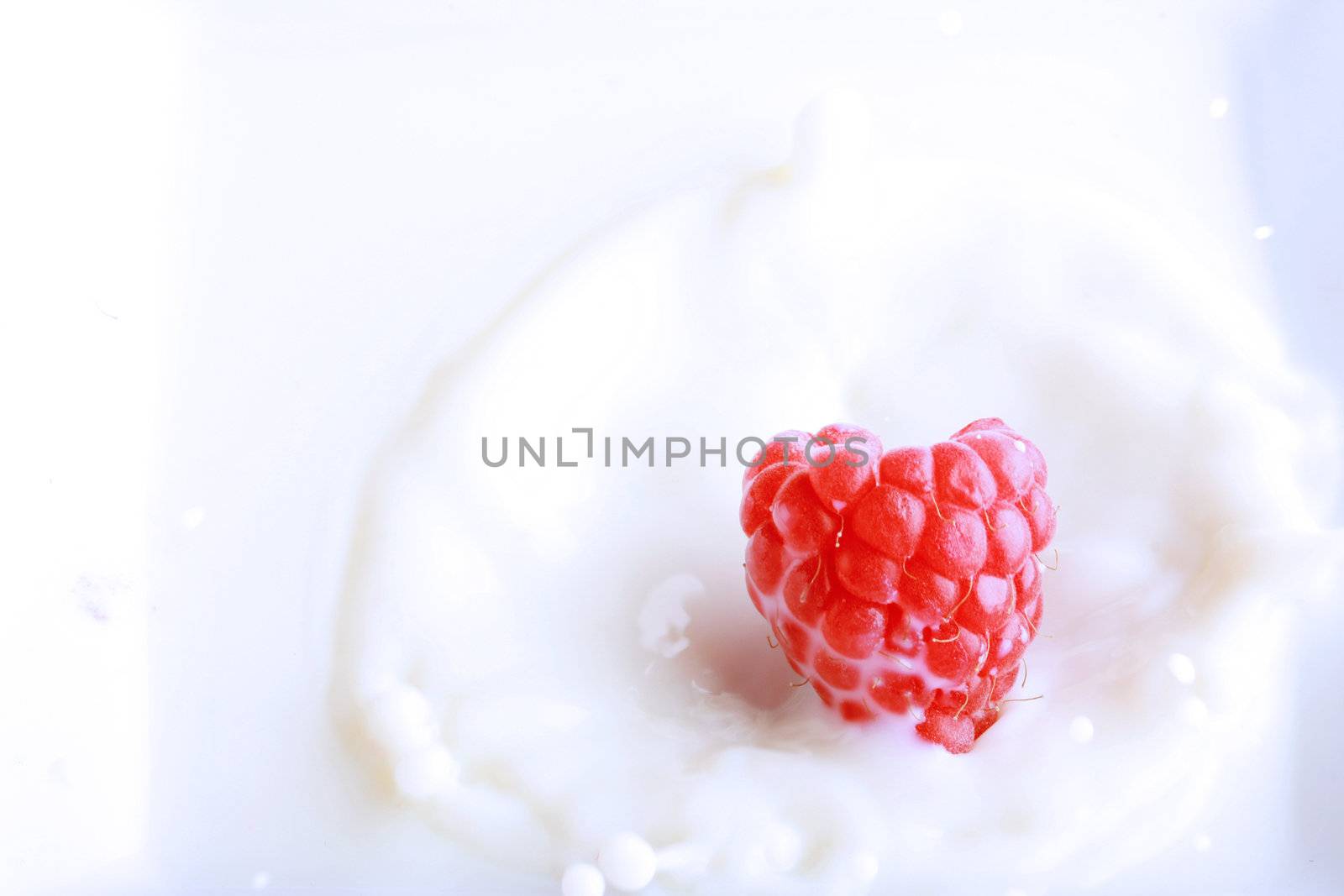 raspberry splashing in fresh milk, great concept for freshness