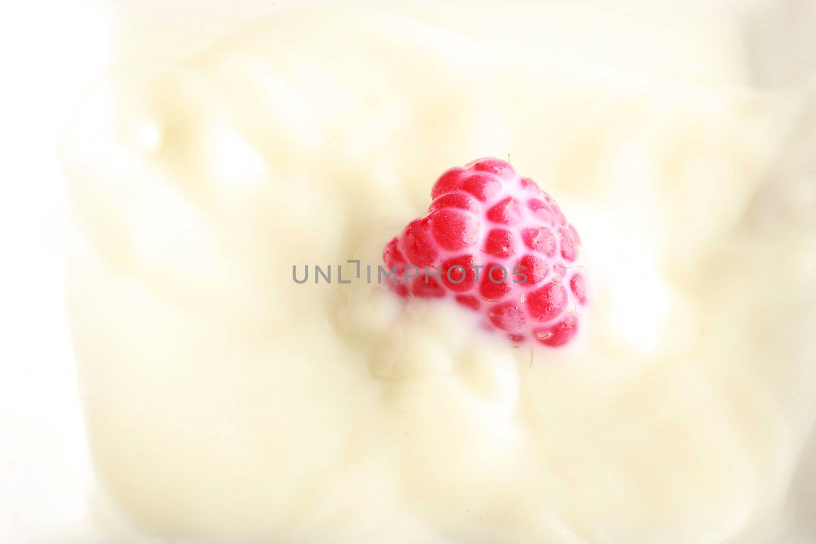 fresh berry in milk by sumos