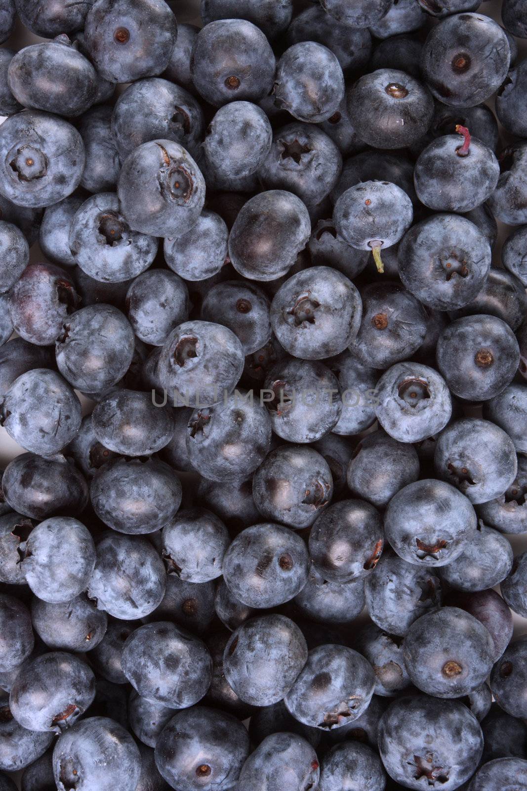 bunch of fresh wild blueberries, good fruit background