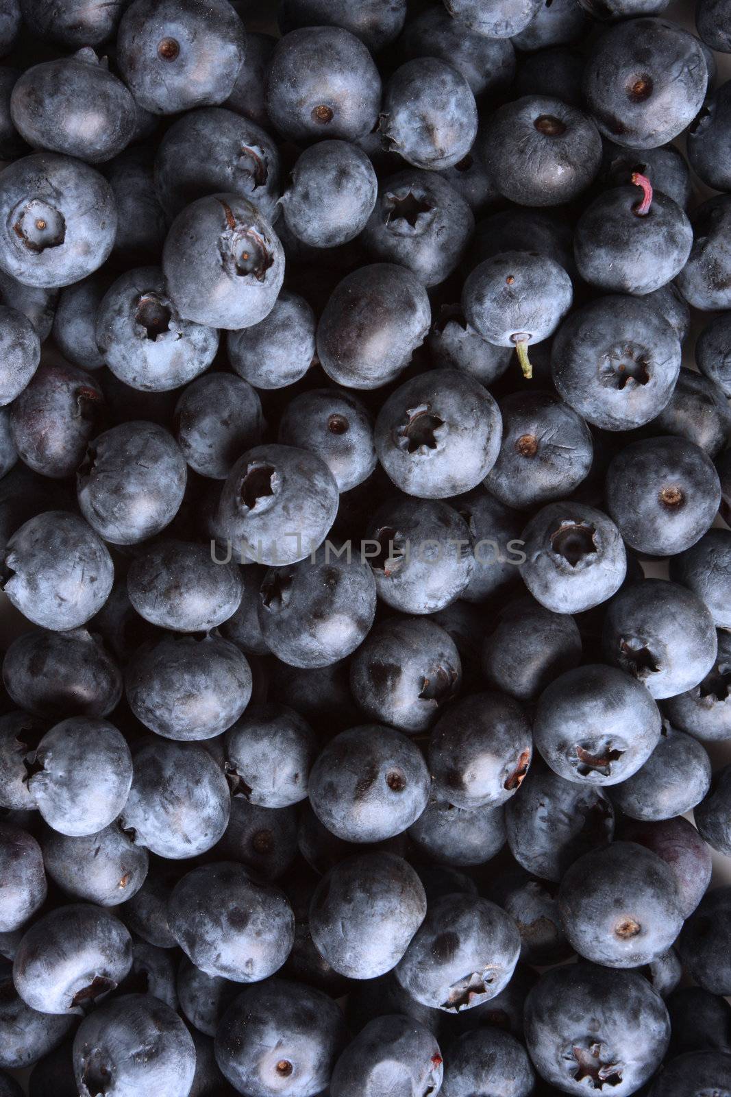 bunch of fresh blueberries, good fruit background