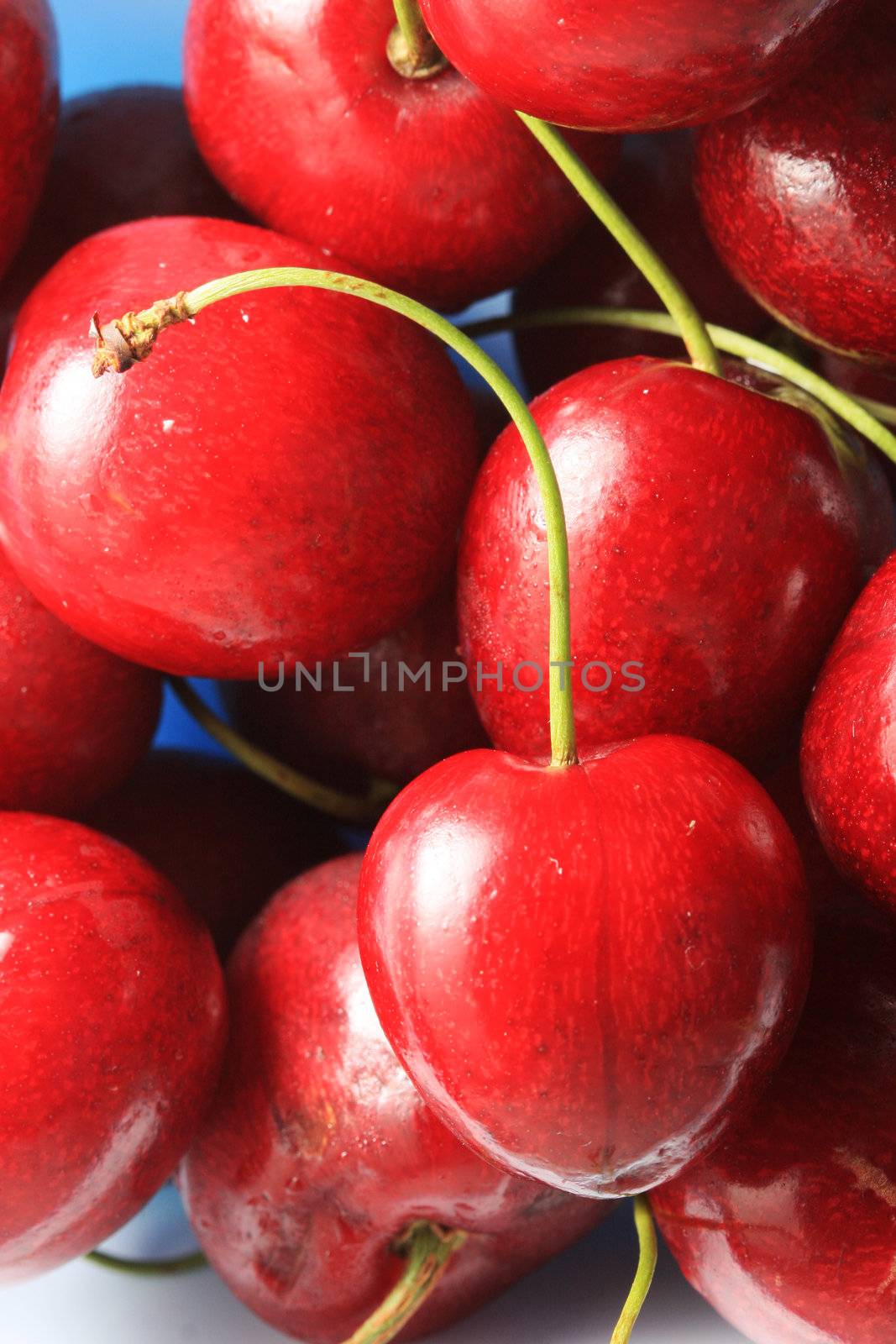 close up of fresh cherries, shot in studio