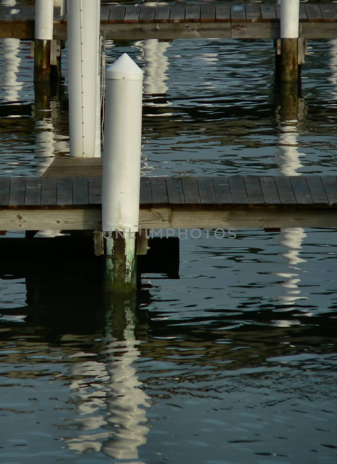 Dock and pilings in a marina