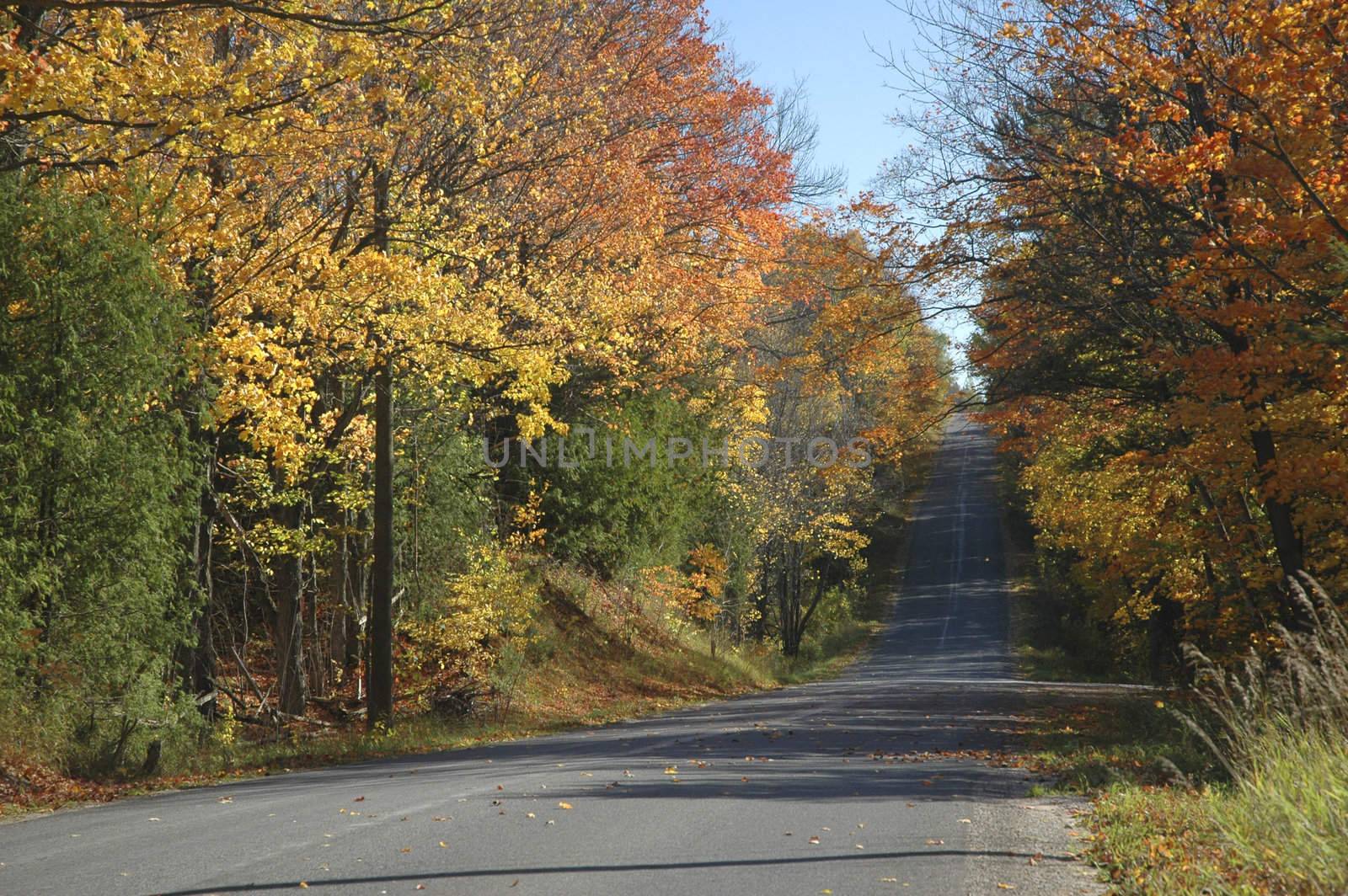 Country road flanked with colorful autumn foliage.