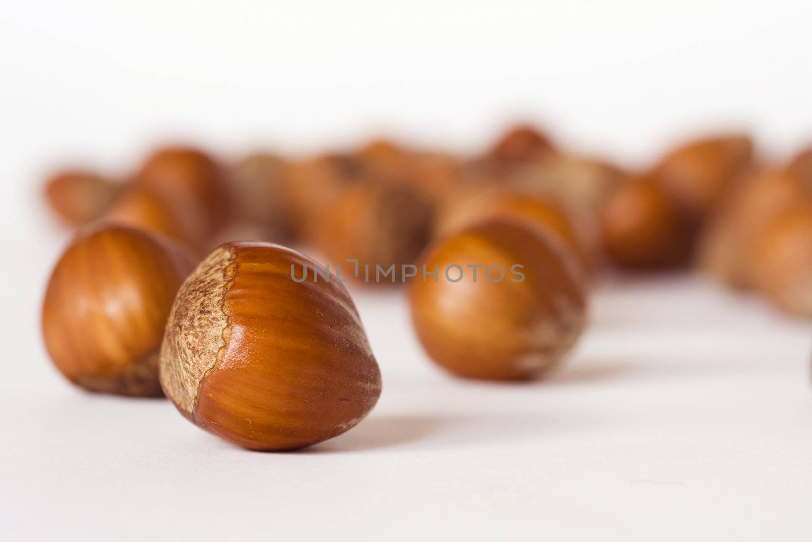 close-ups of hazelnuts on white background