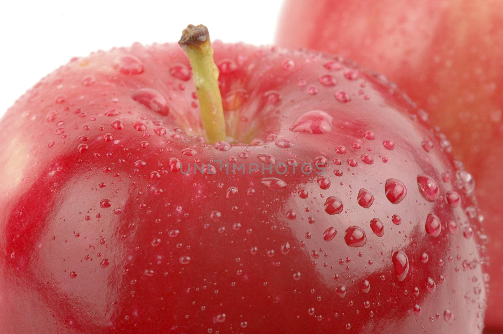 Red Ripe Apple by billberryphotography