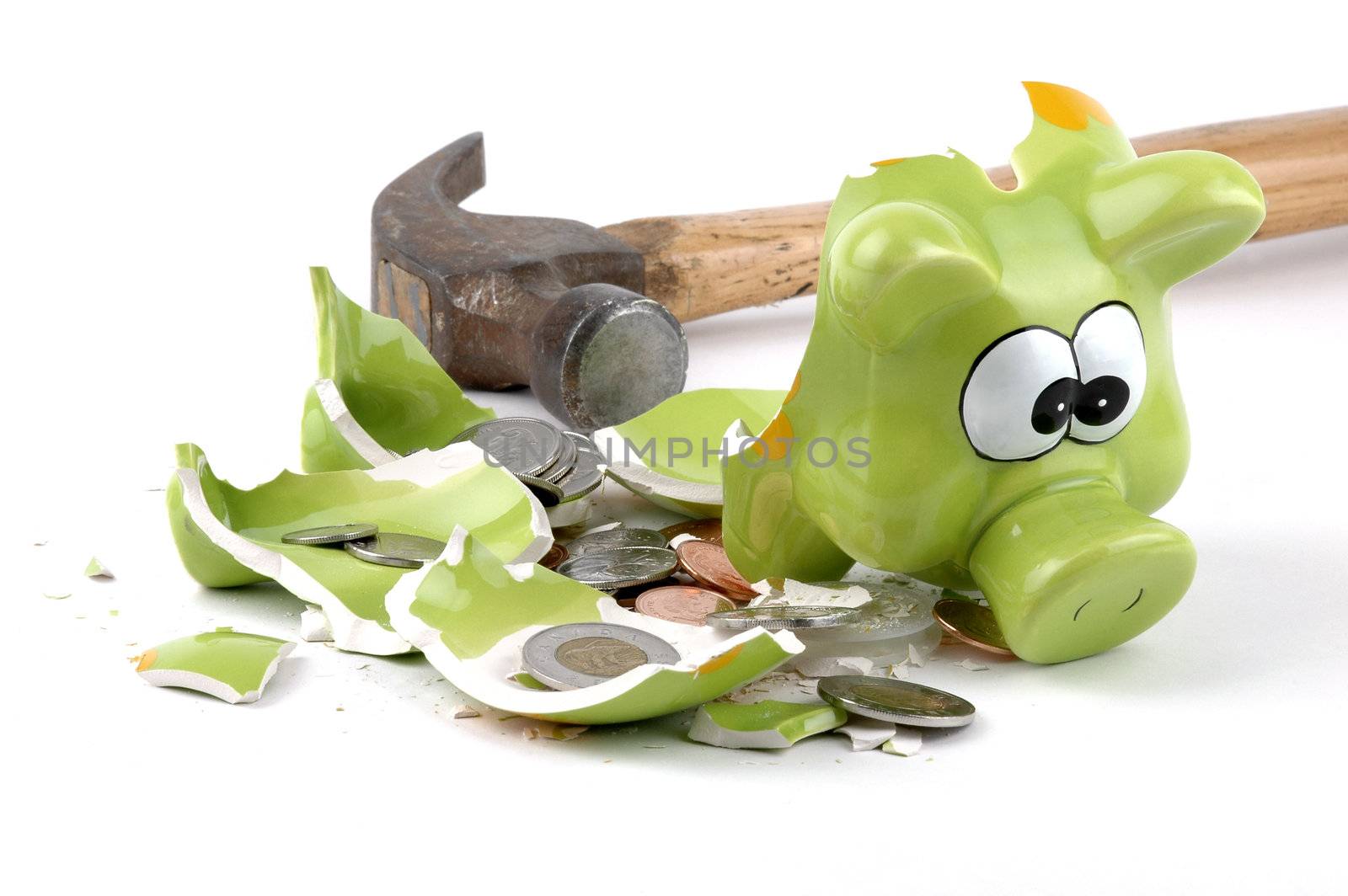 Smashed Piggybank-Canadian by billberryphotography