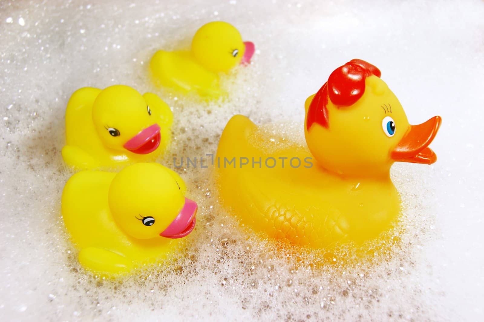 Family of yellow rubber ducks in spume