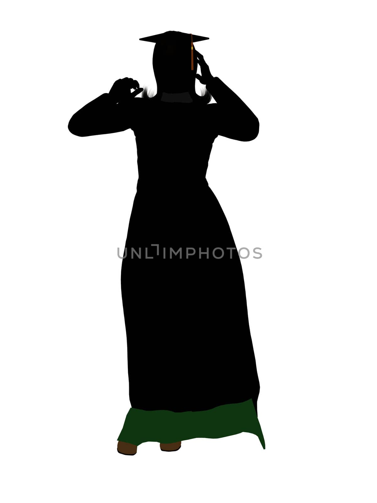 Graduate silhouette on a white background