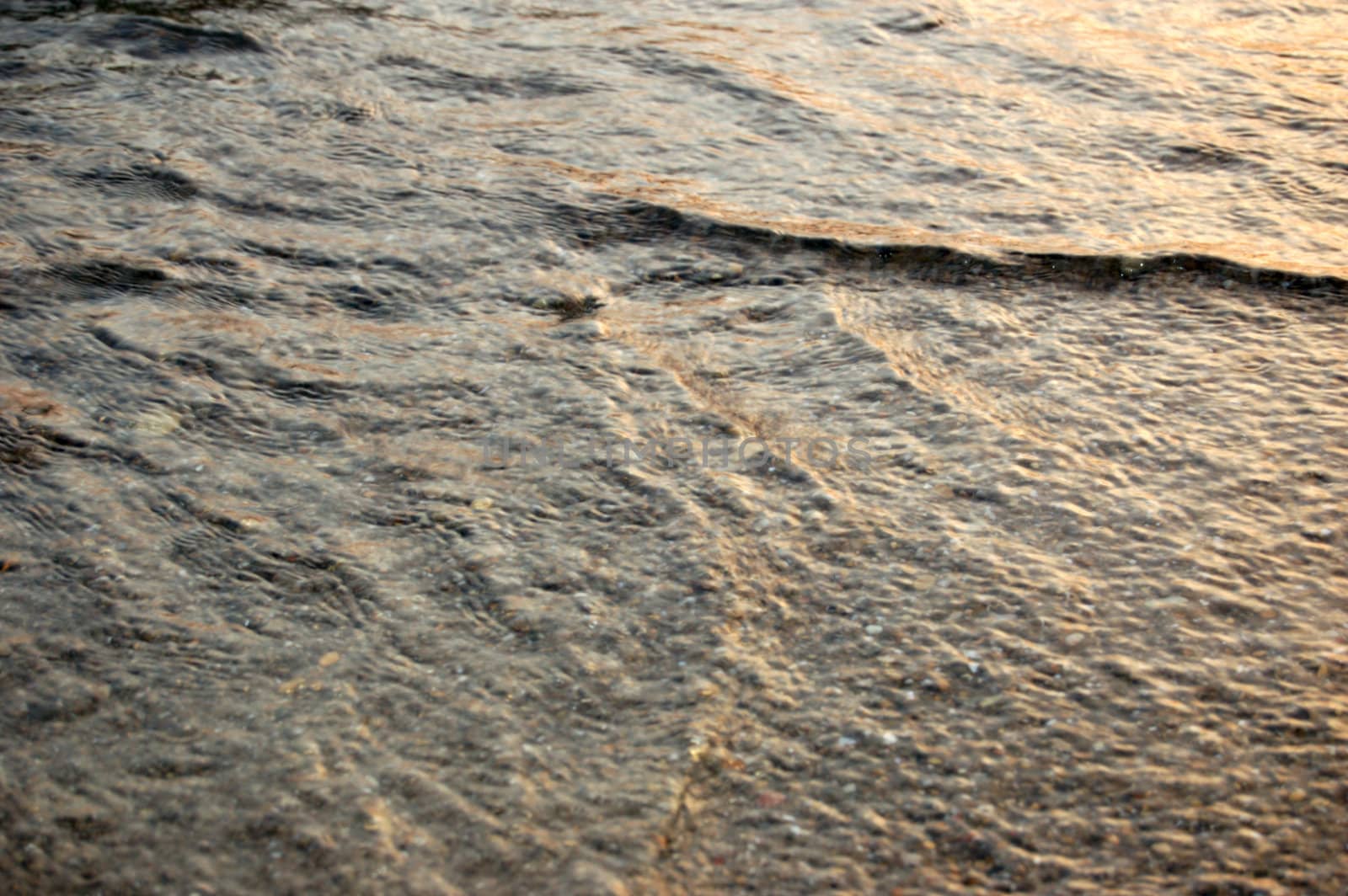 closeup of sea surf at sunset