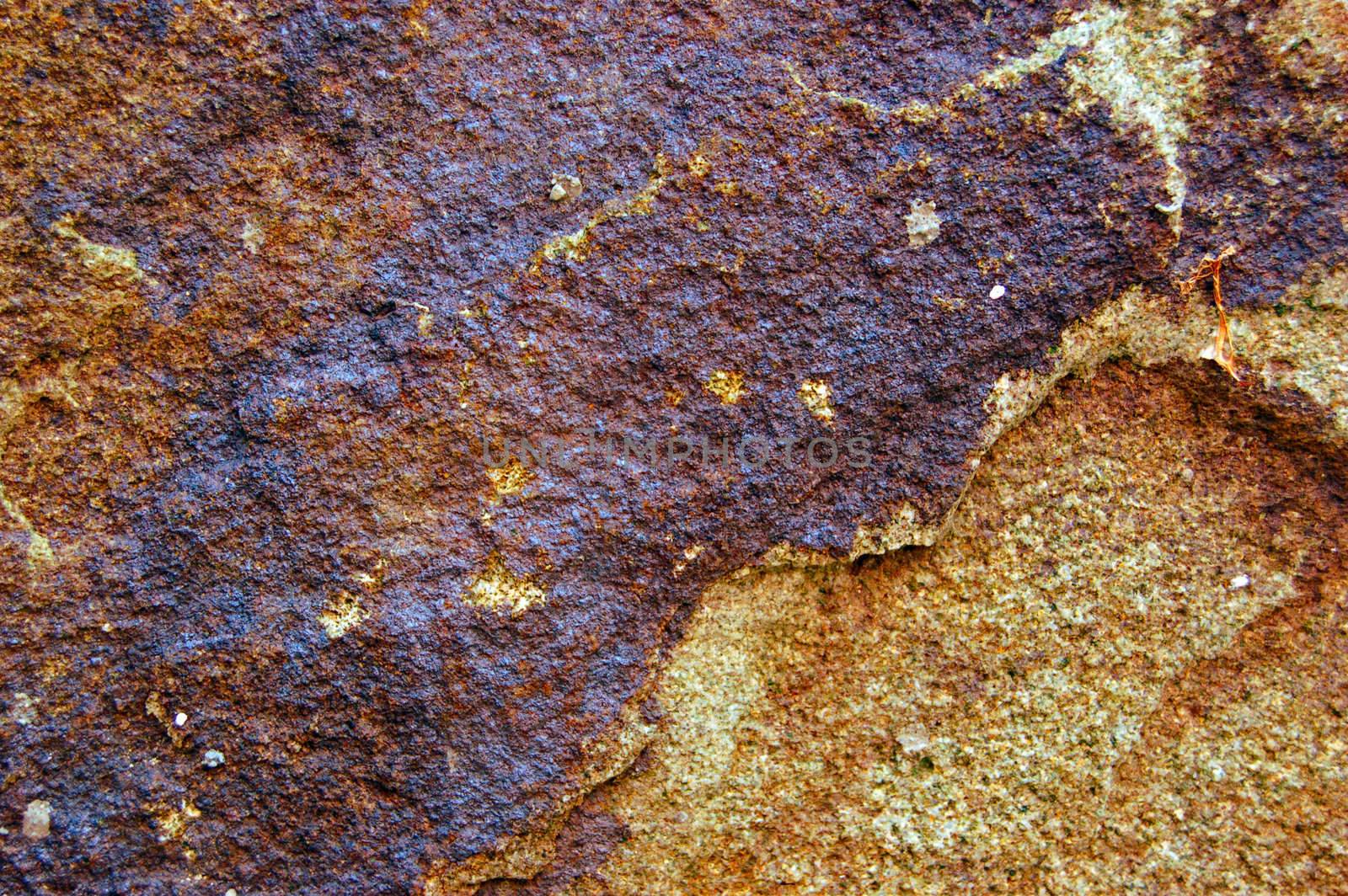 colored rough surface of wild stone .
