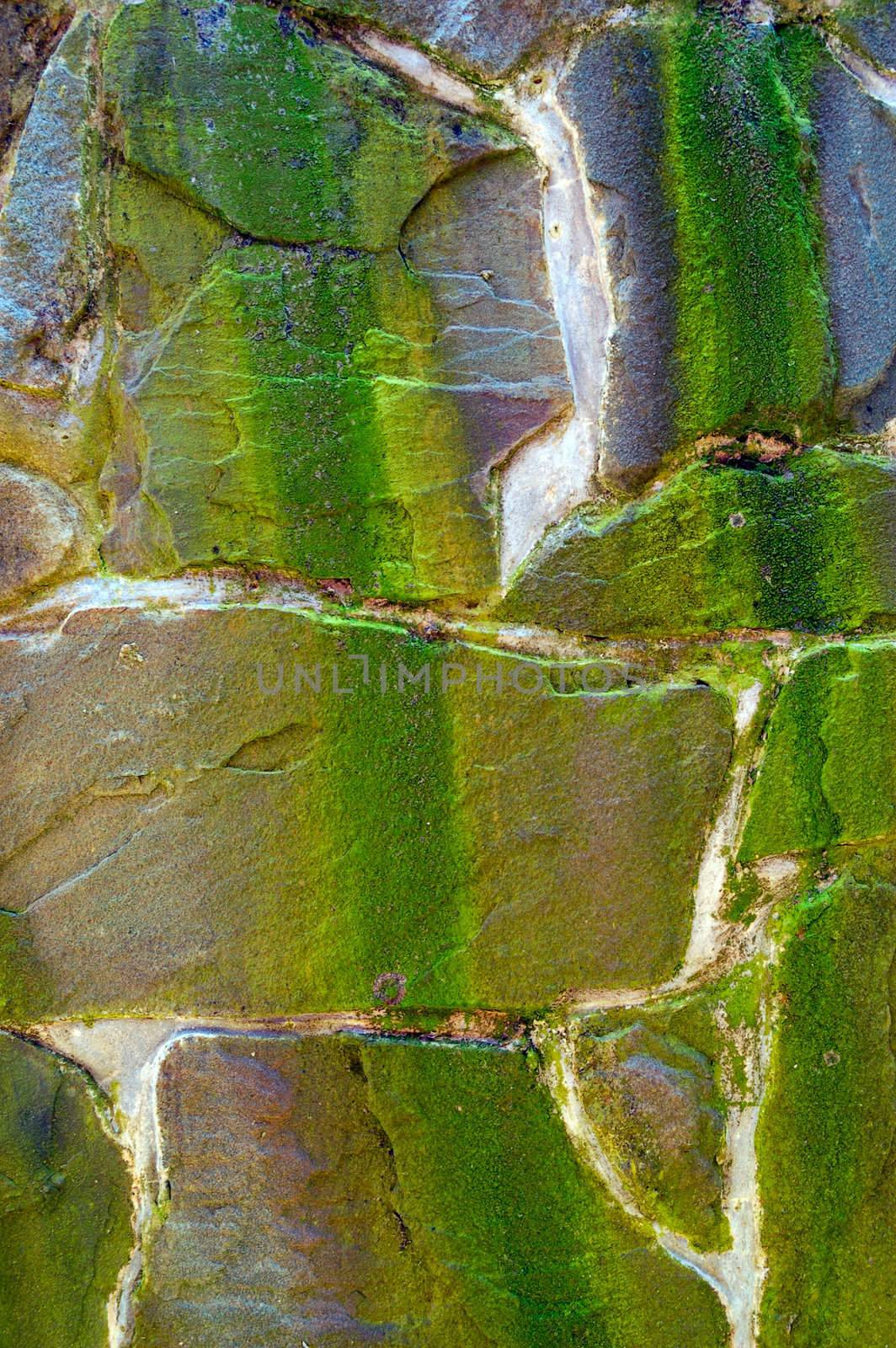 stone surface of wall by mettus