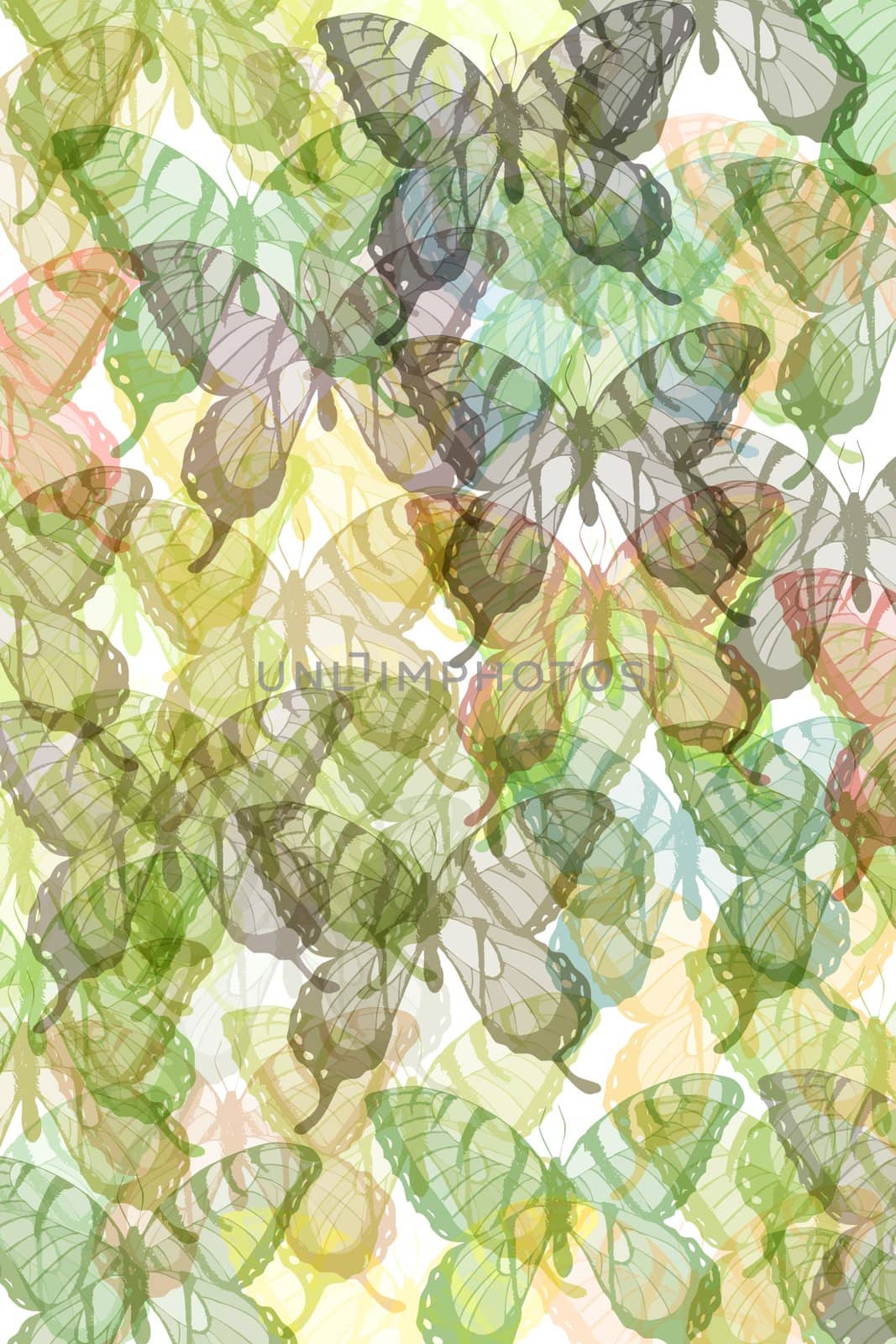 Pattern with butterflies by weknow