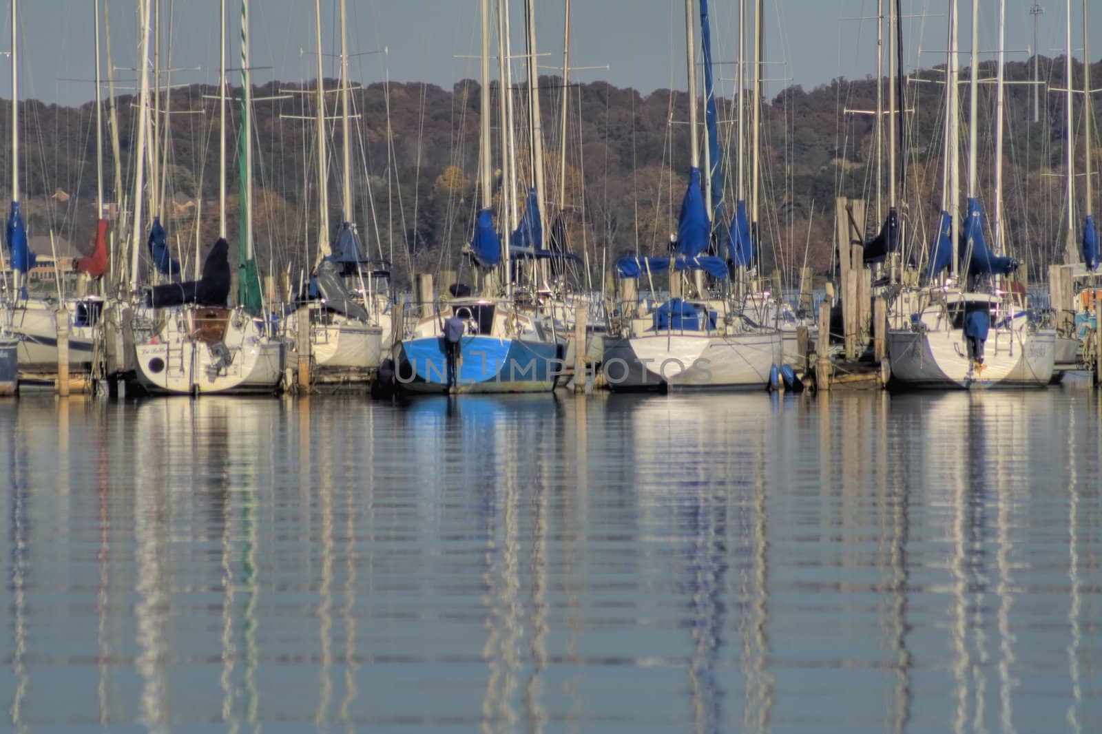 Yatches at anchor in a marina in Fall.
