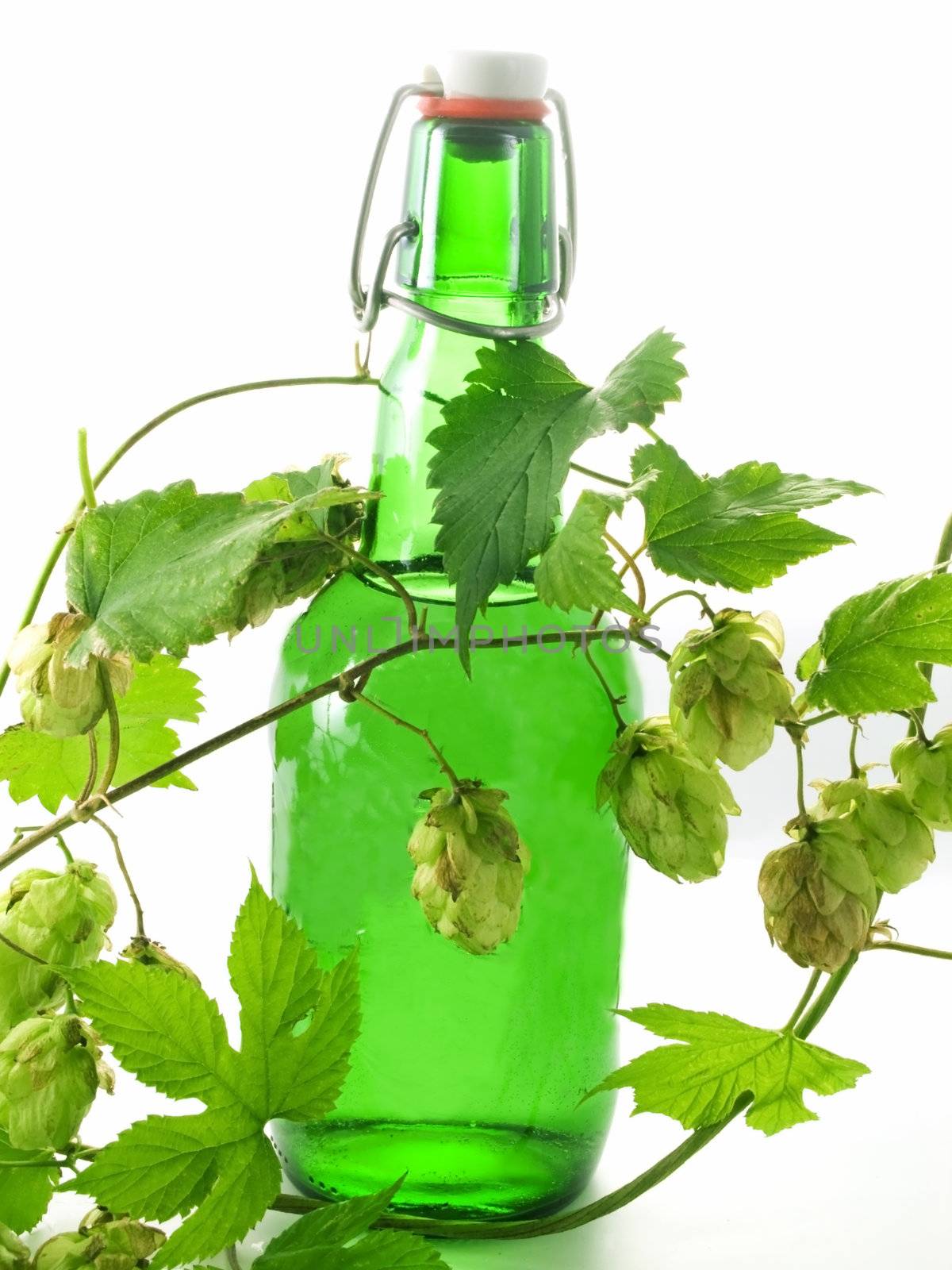 Close-up of Beer bottle isolated on white background