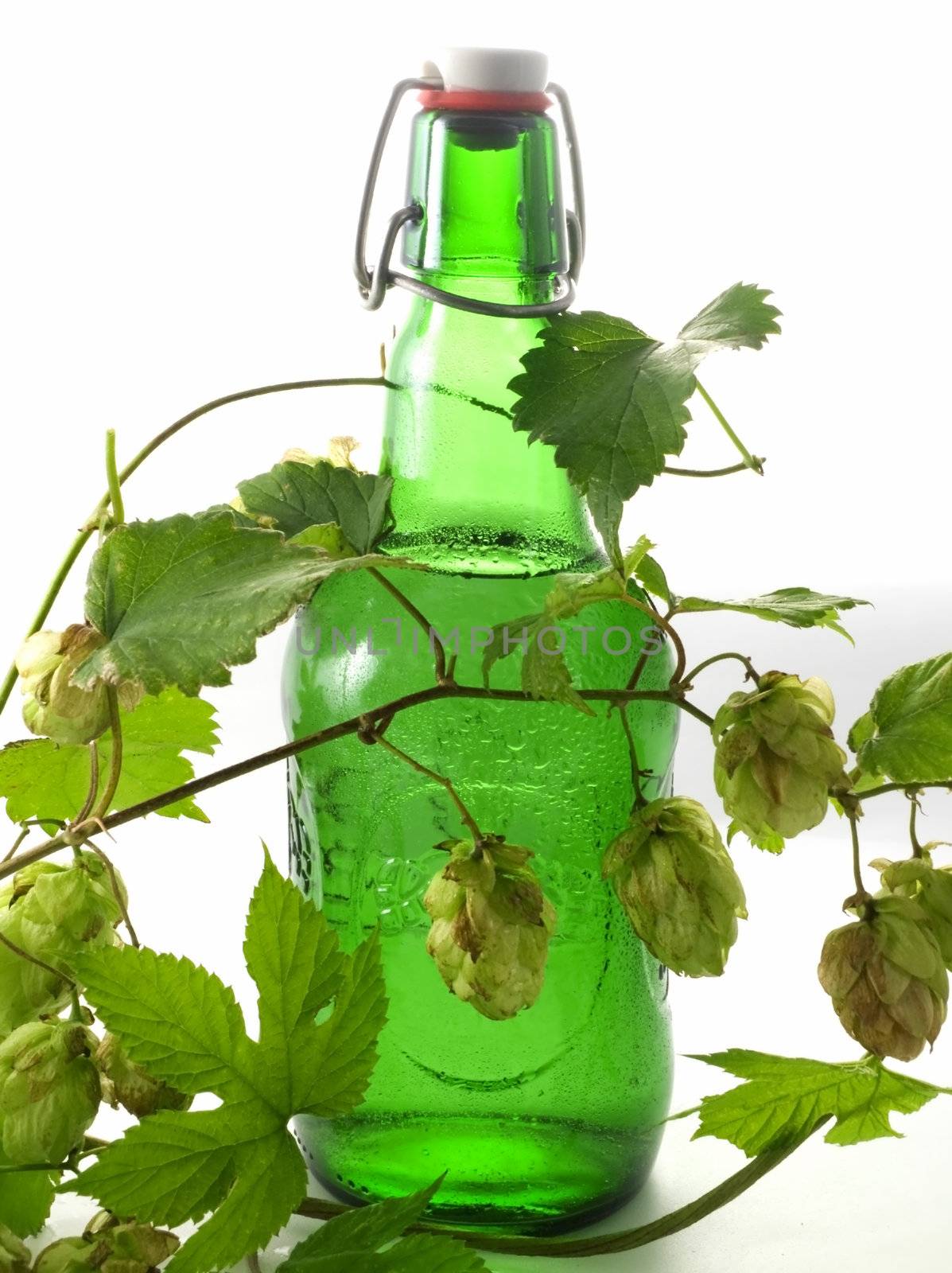 Close-up of Beer bottle isolated on white background