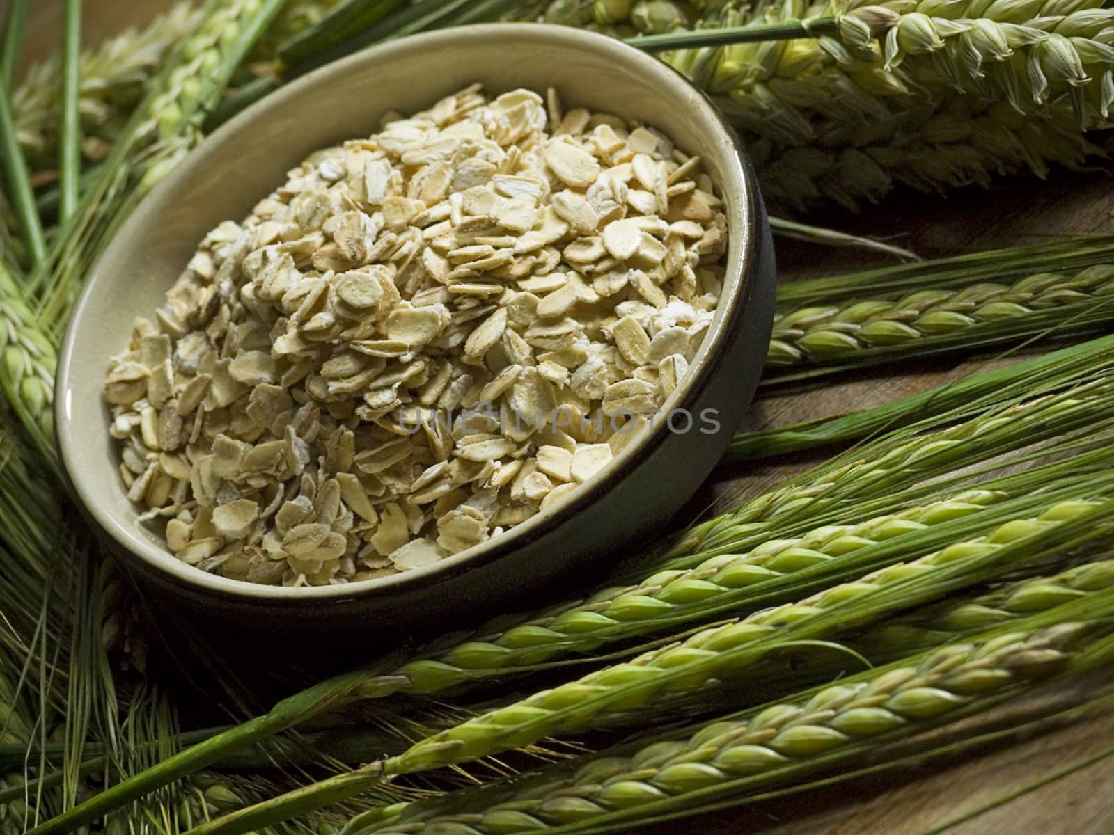 close-up of bowl full of oatmeal