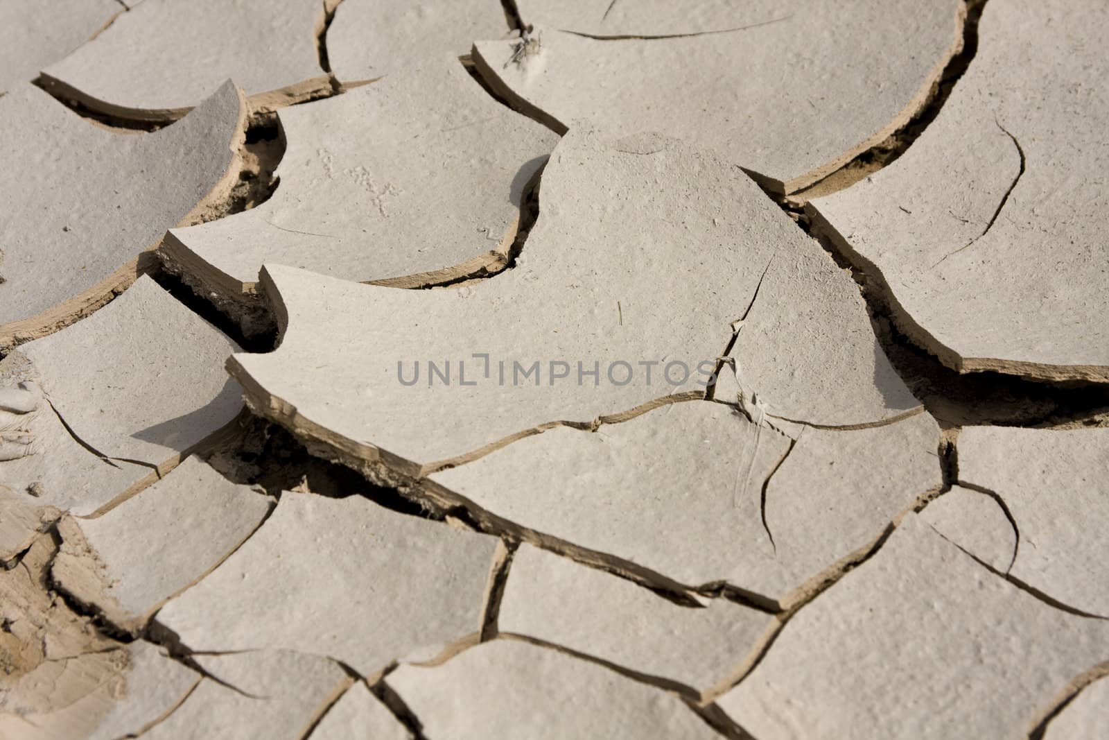 Cracked, parched land. Dried mud. by cozyta