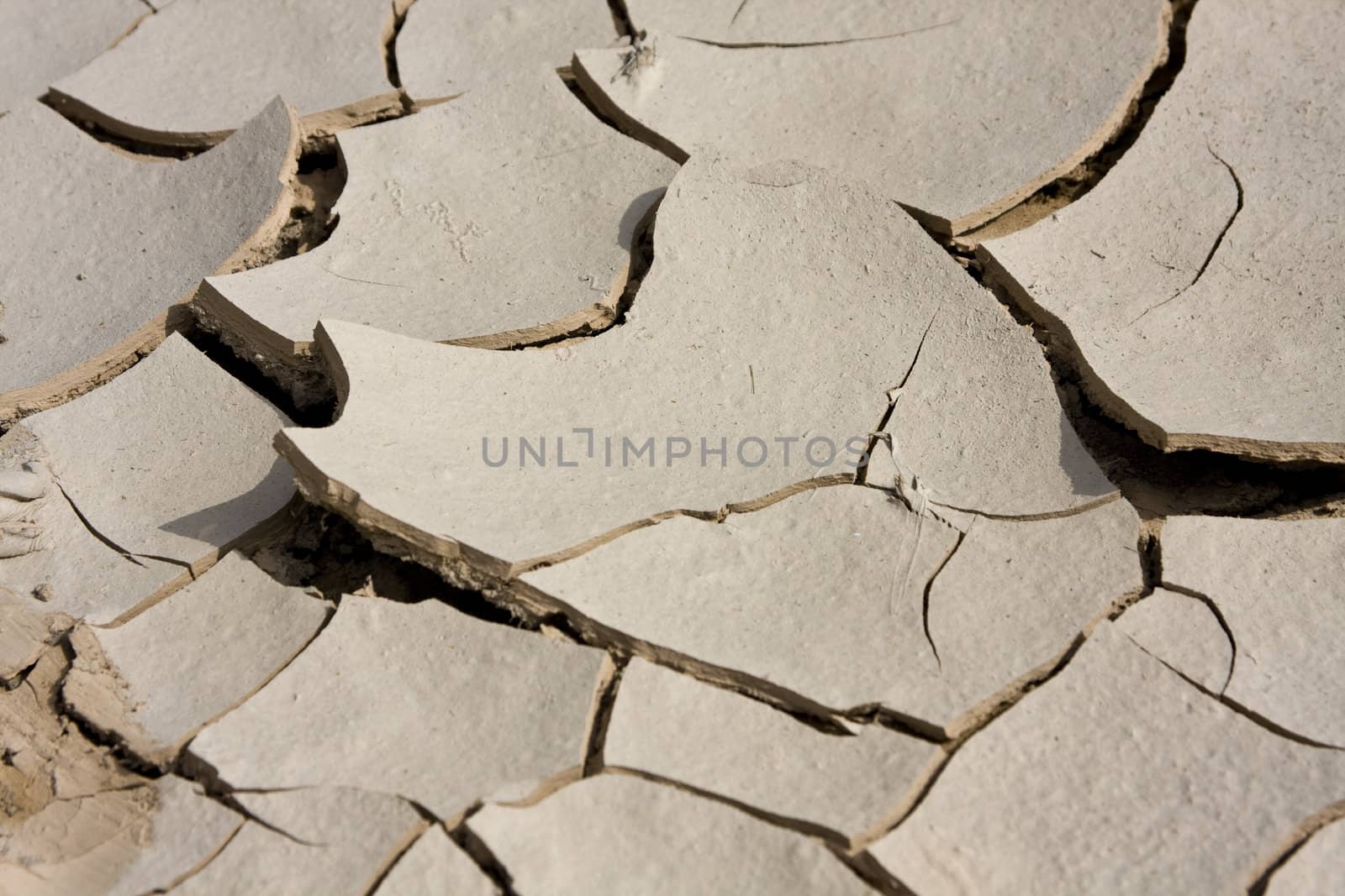 Cracked, parched land. Dried mud.
