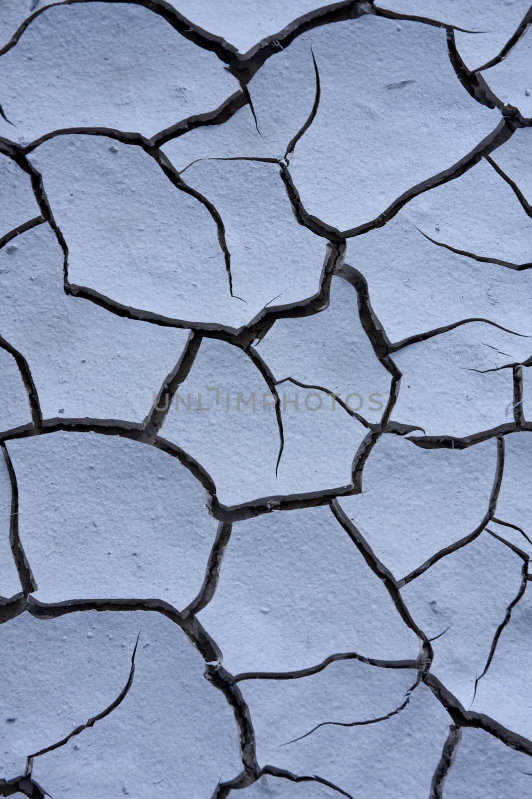 Cracked, parched land. Dried mud. 