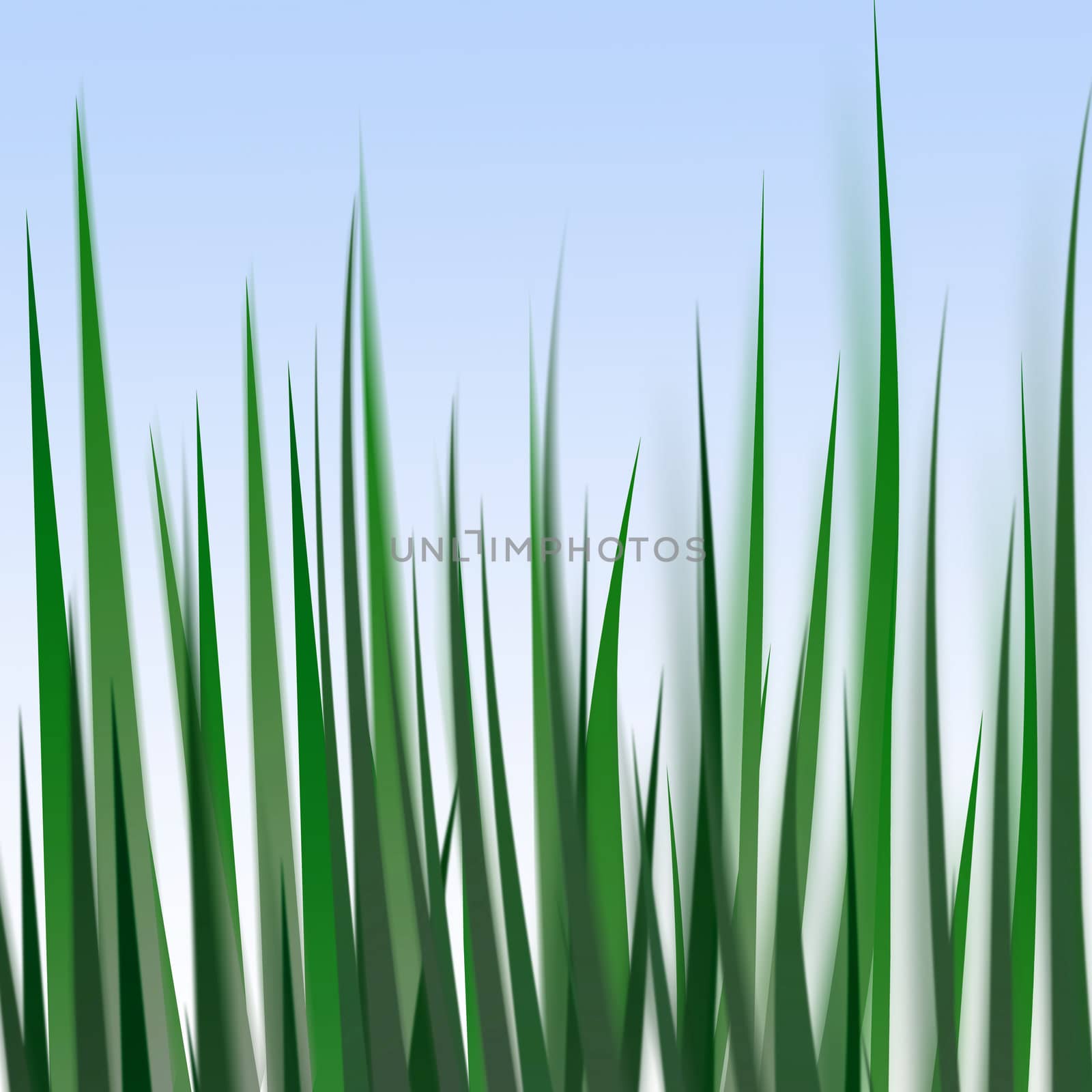 Grass illustration by Kamensky
