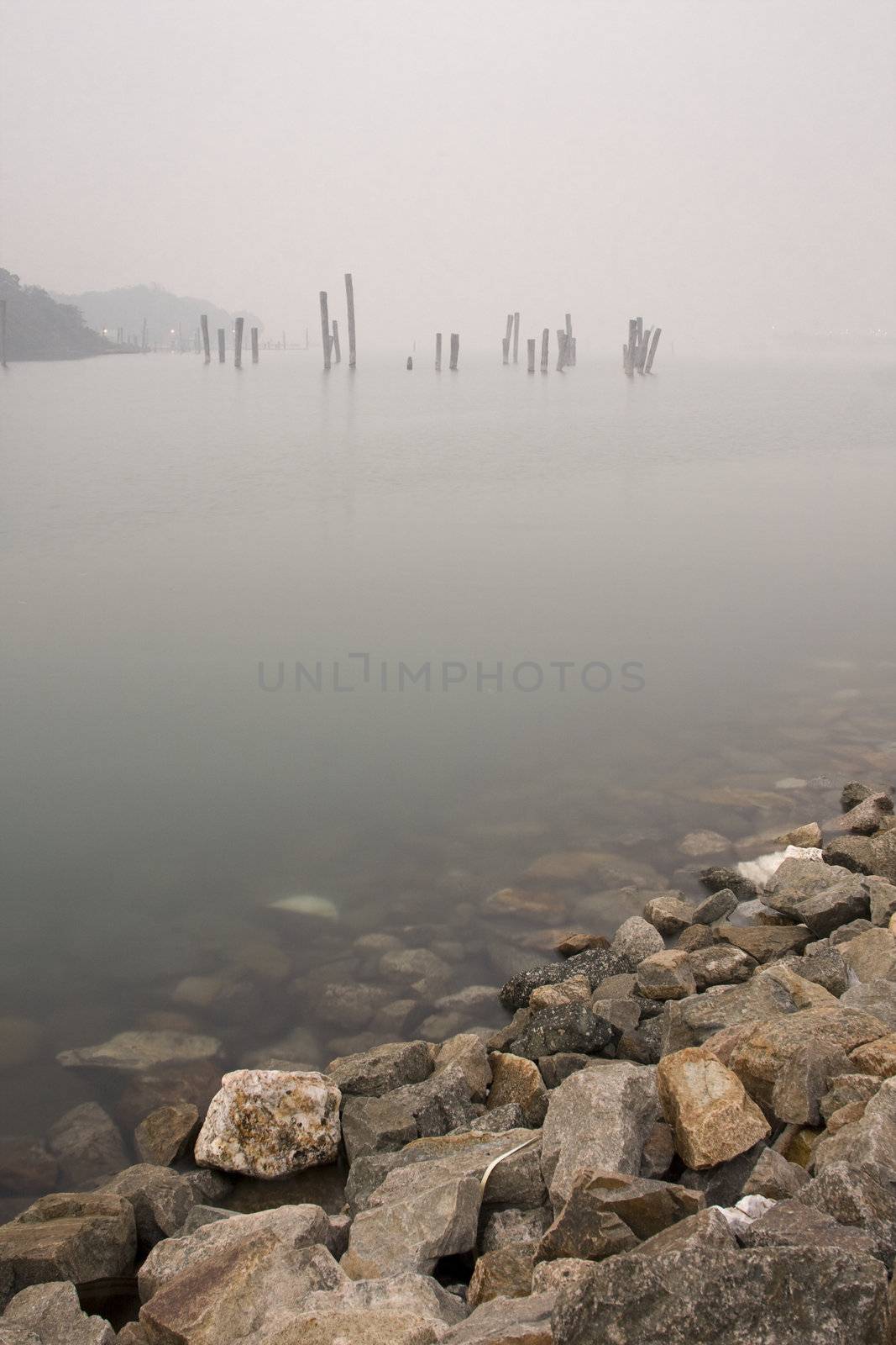 it is peaceful lake and have some wood in water in mist
