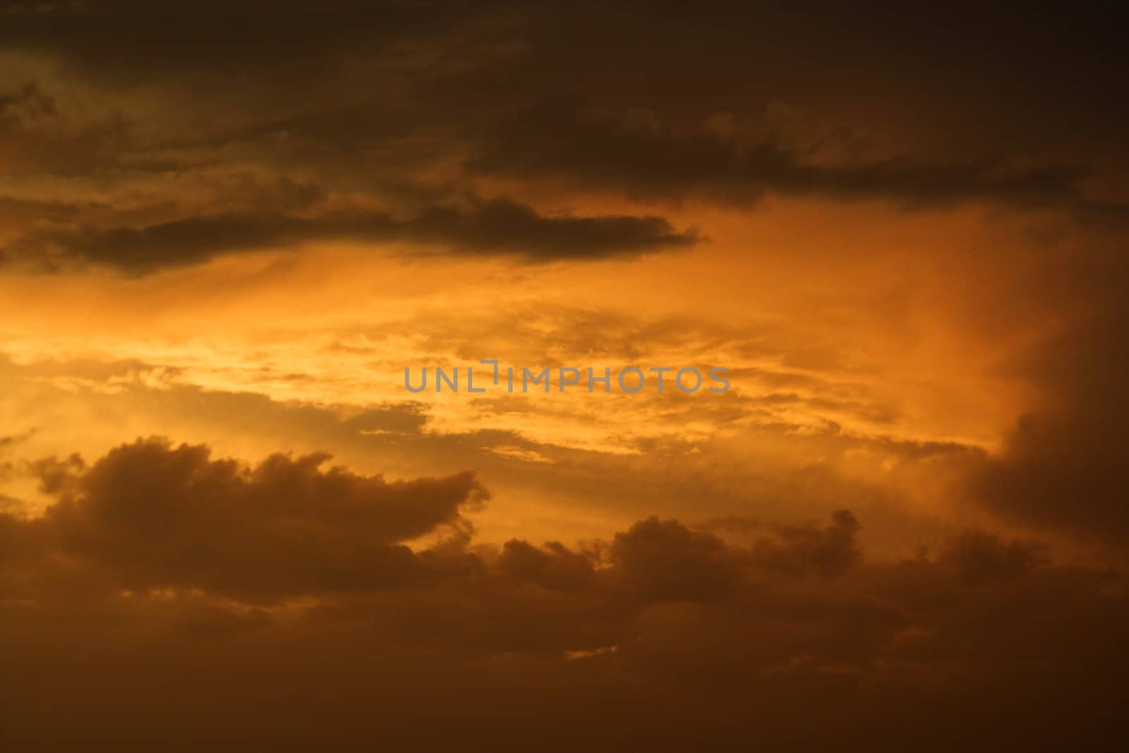 Golden sunset sky and clouds. by iofoto