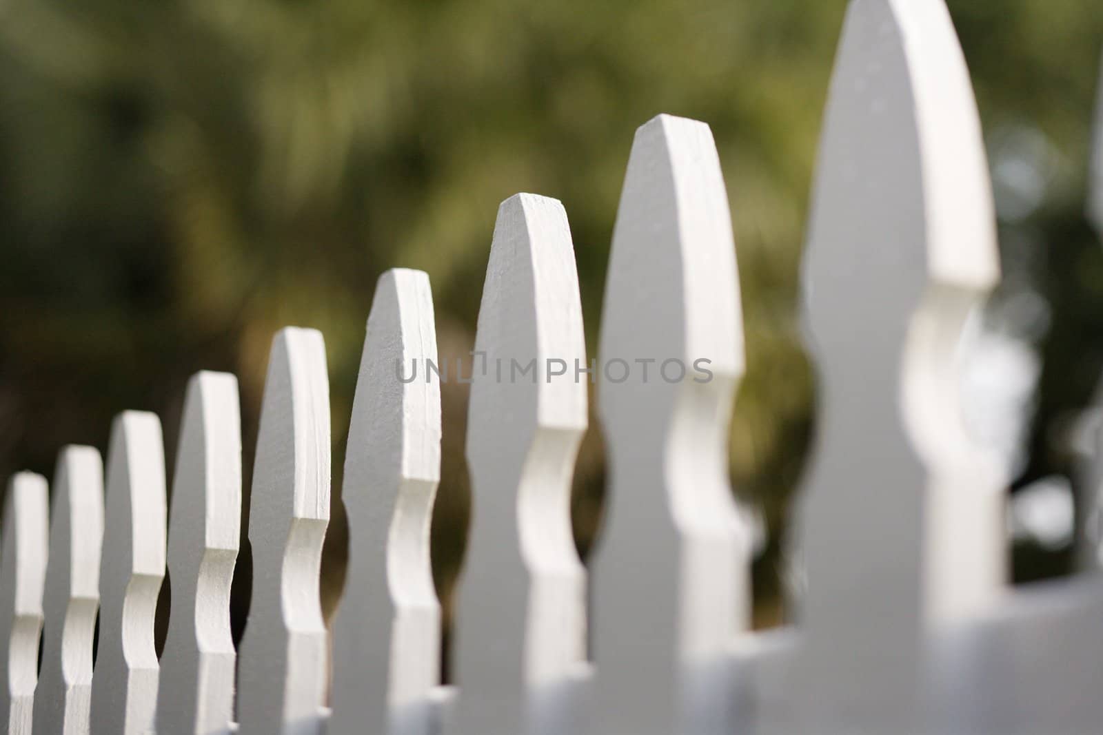 White picket fence. by iofoto