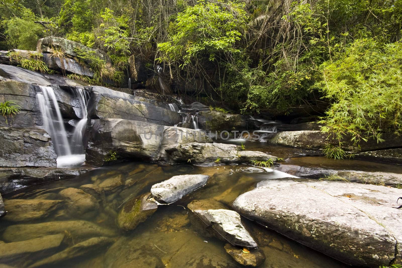 It is a water spring in forest.