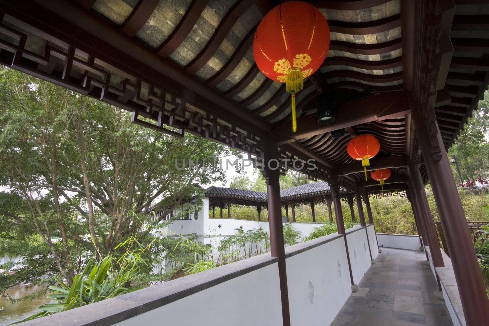 Footbridge in an Asian style garden with trees and bushes in spring bloom.