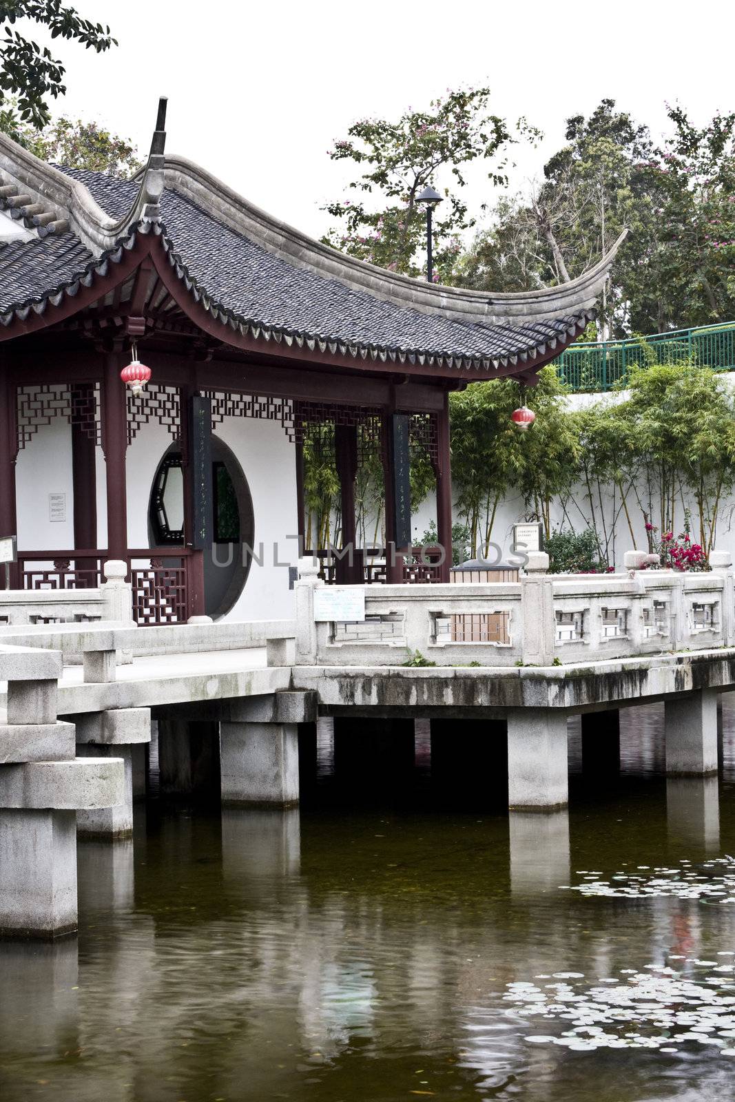 A typical Chinese garden with a pond.