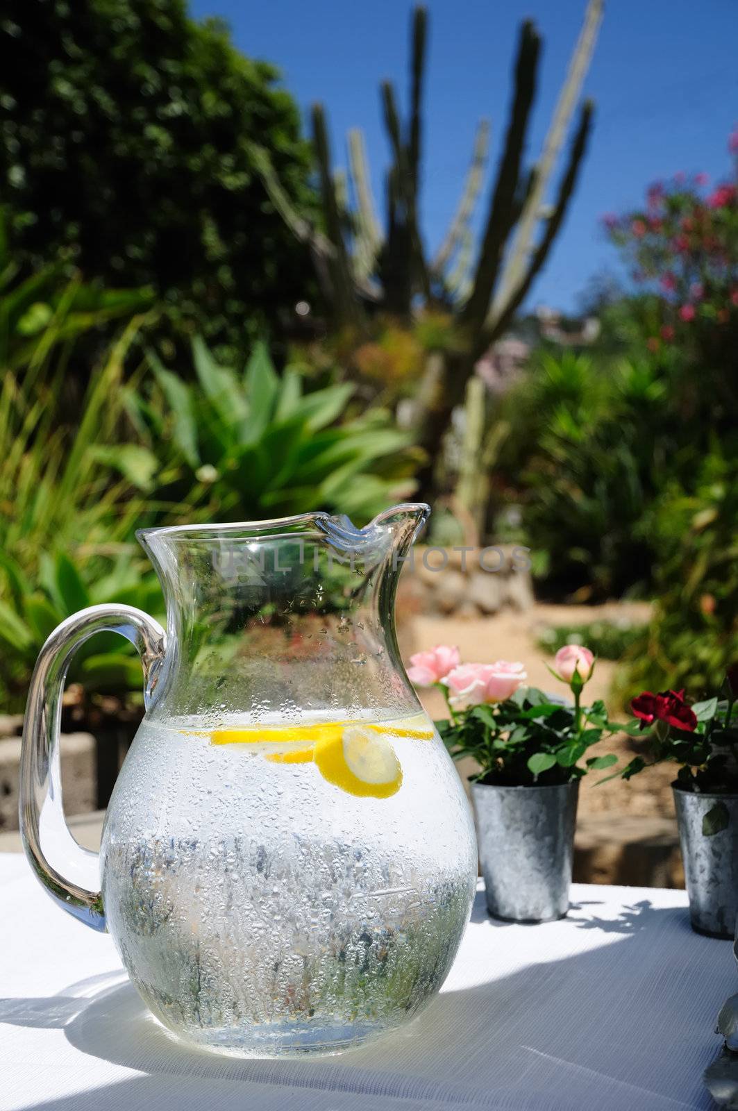 A water pitcher with droplets of condensation on a buffet table in the American Southwest.