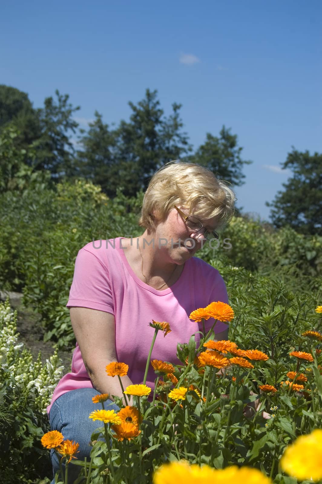 elderly woman is picking flowers by ladyminnie