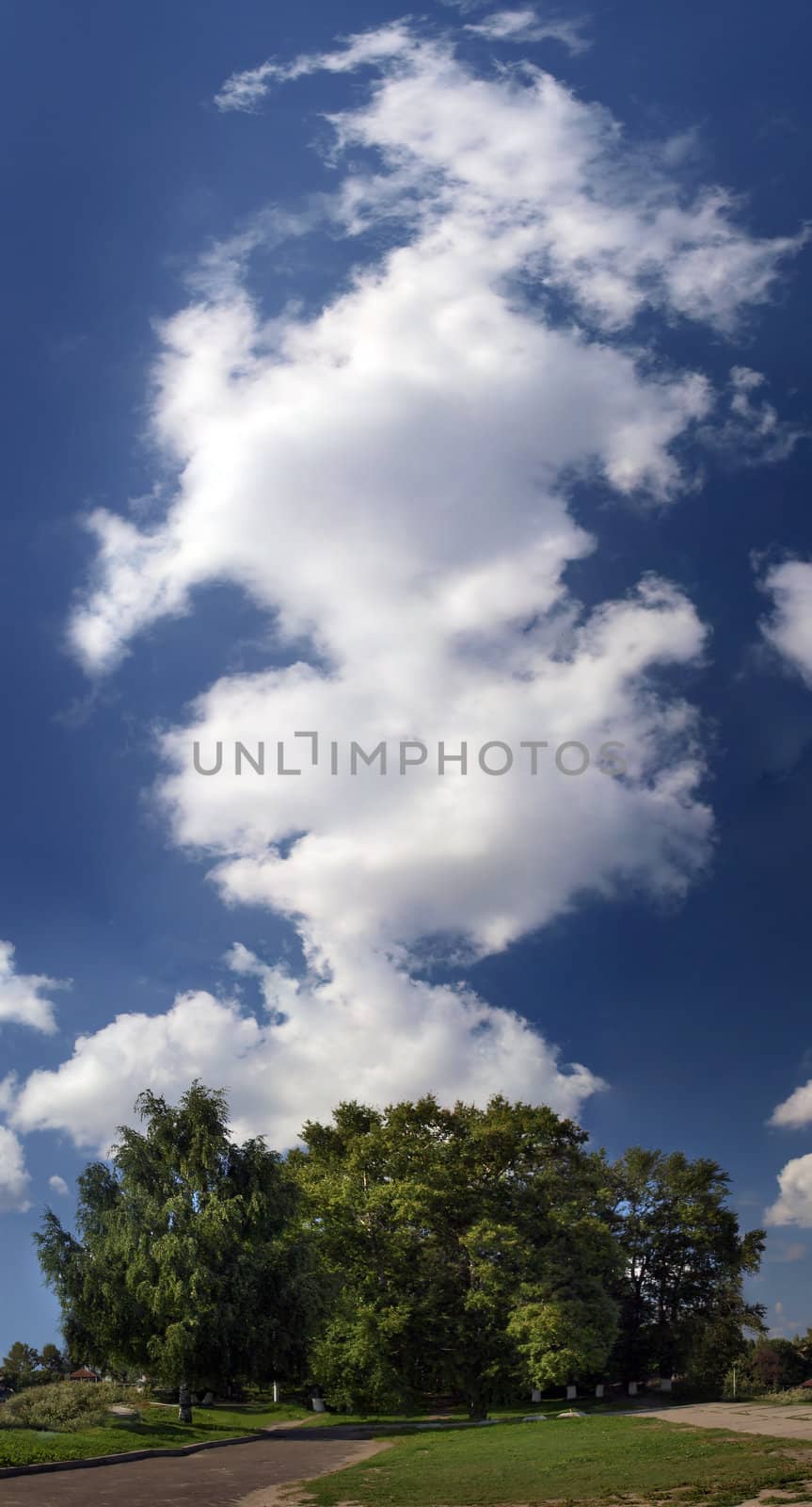 White clouds against a backdrop of blue sky and green trees