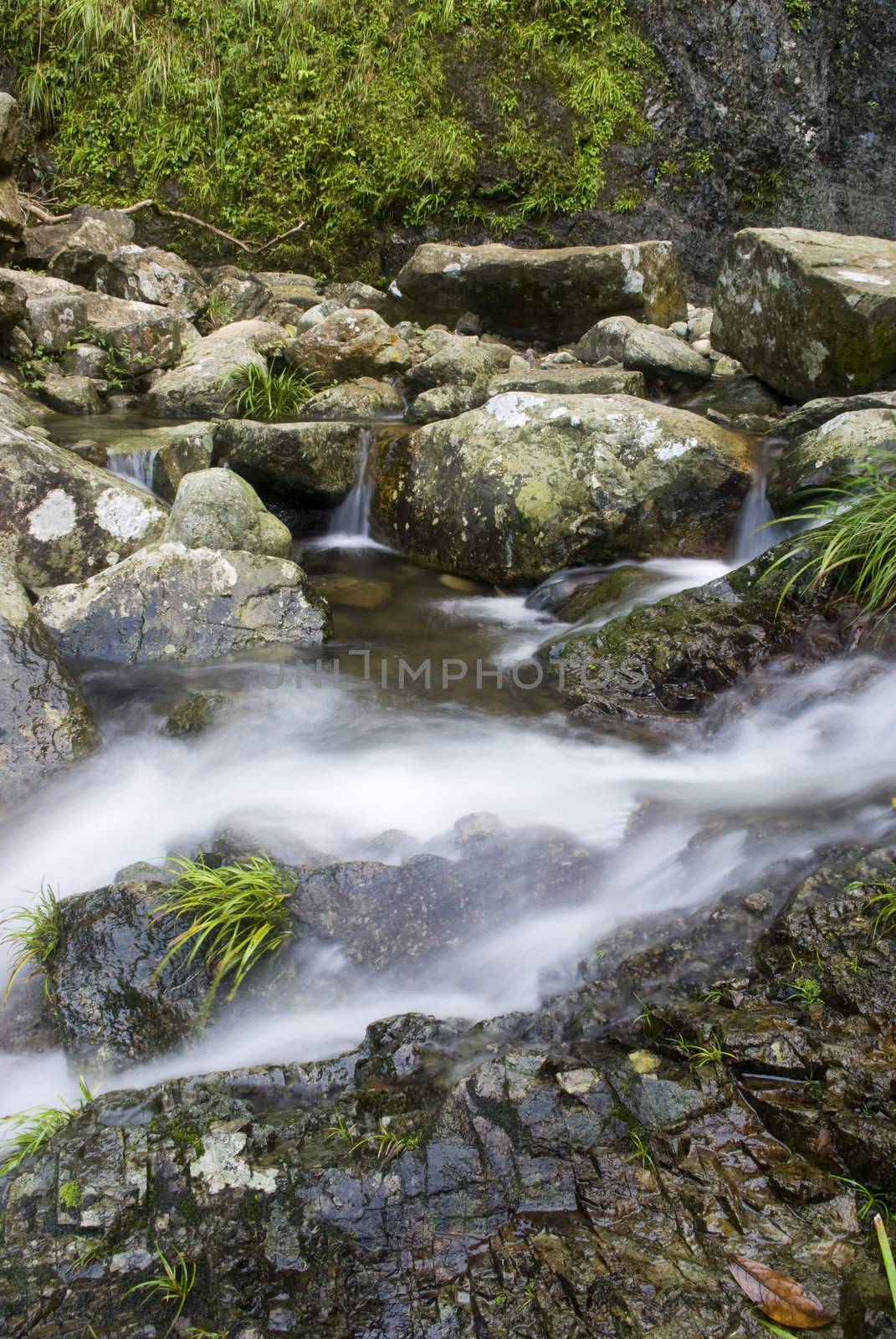 water spring  by cozyta