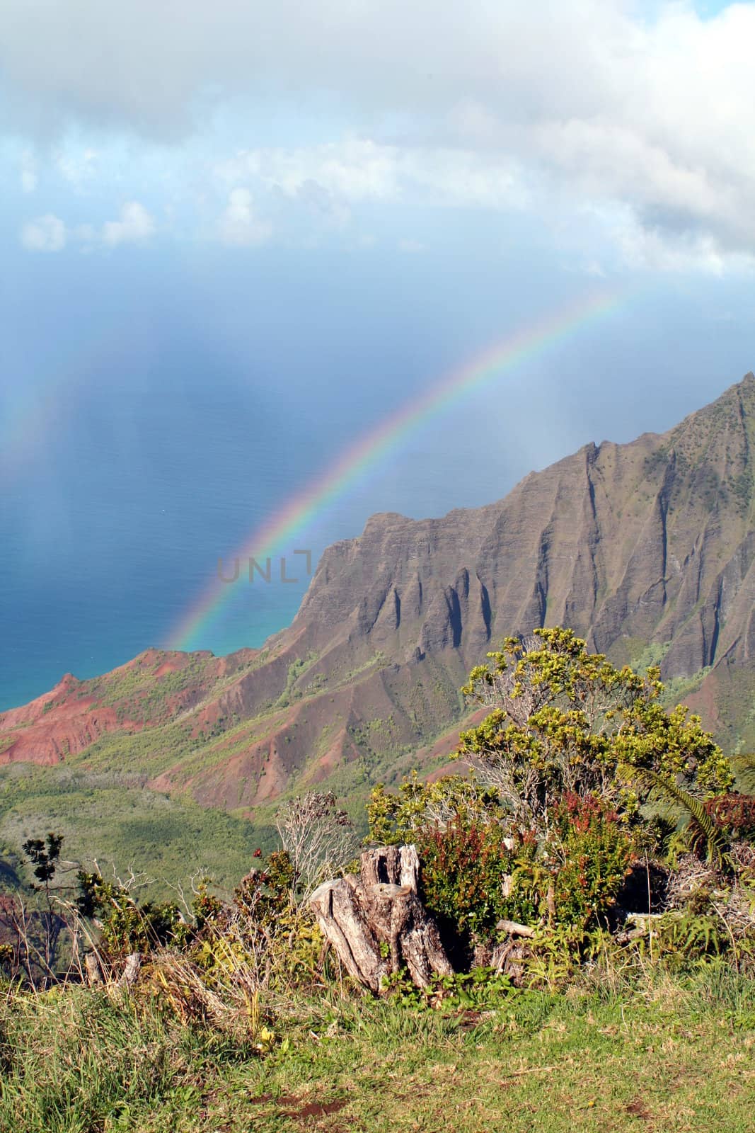 A rainbow stretches from the clouds to the sea.