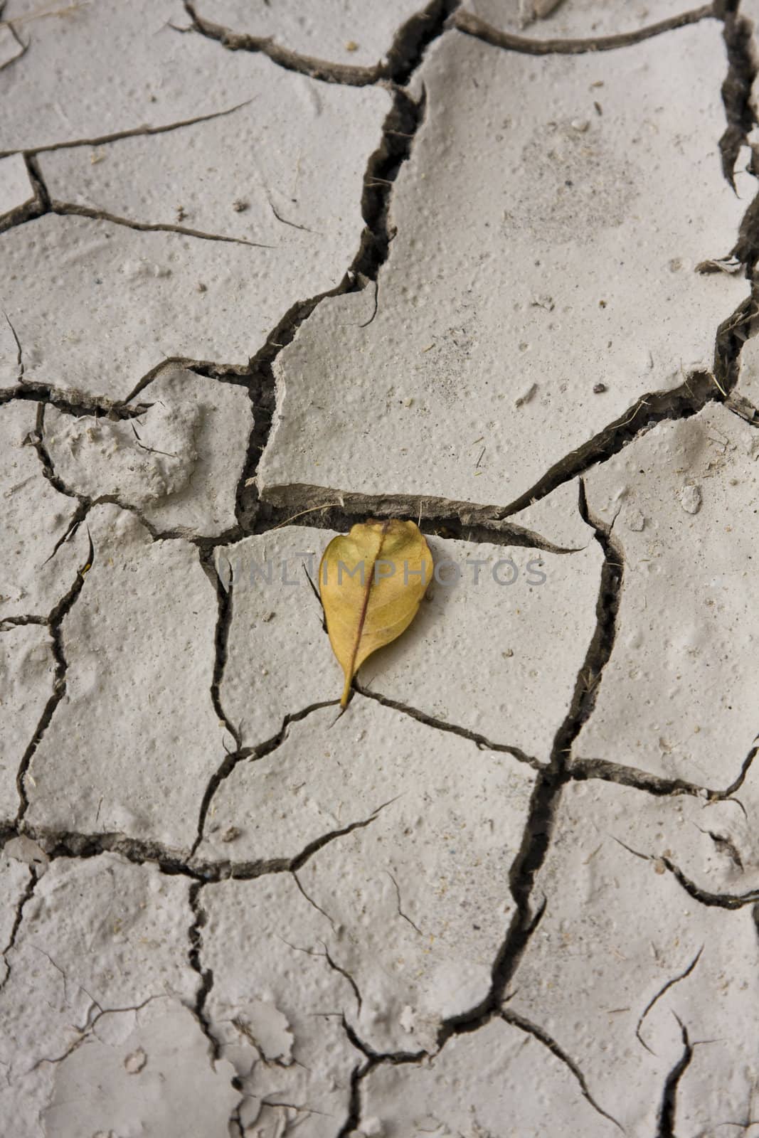 Cracked, parched land. Dried mud.
