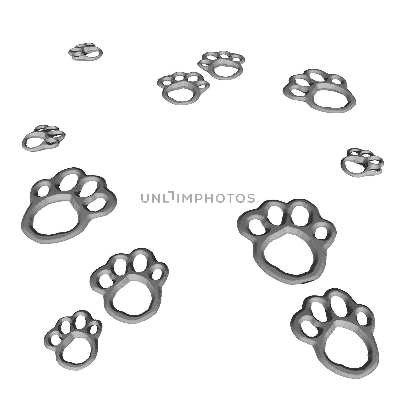 An illustration of animal paws isolated on a white background.