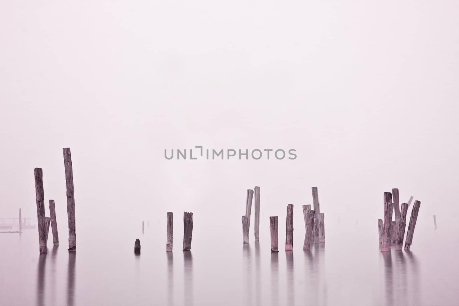 Wood in water in mist by cozyta