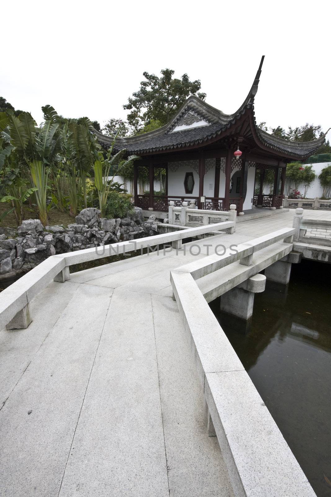 Chinese garden and pond by cozyta