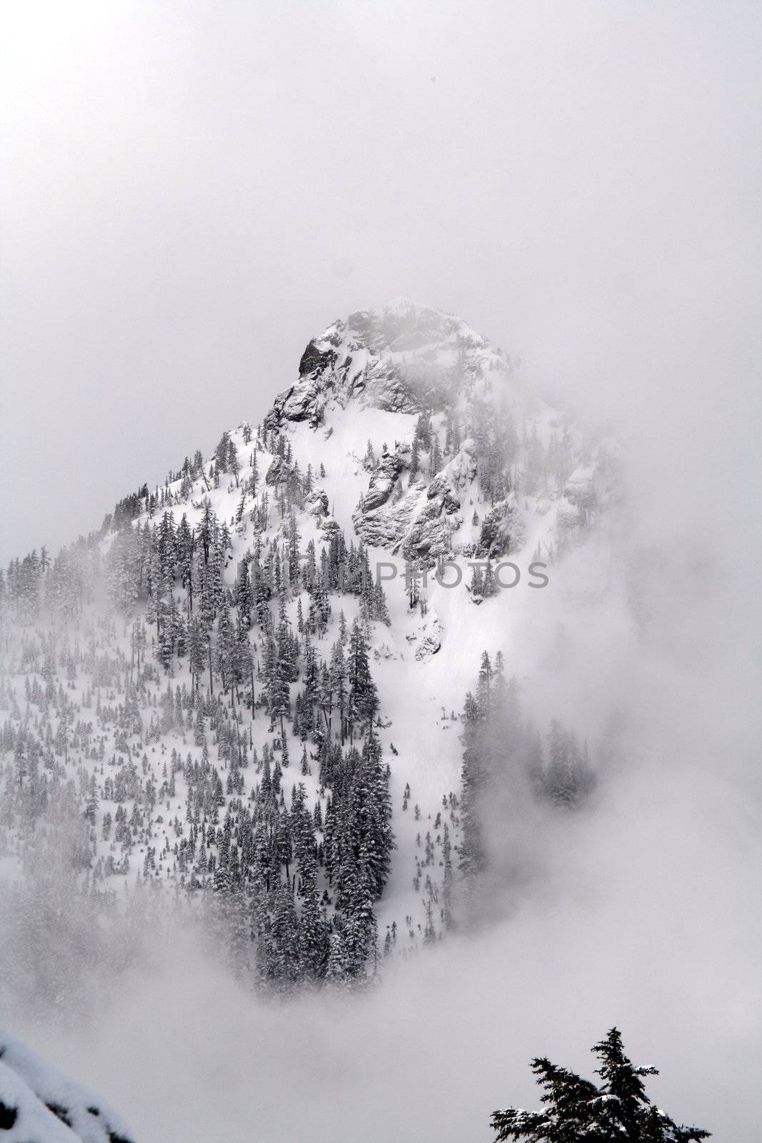 A snow capped mountain peeking from behind its cloud veil.