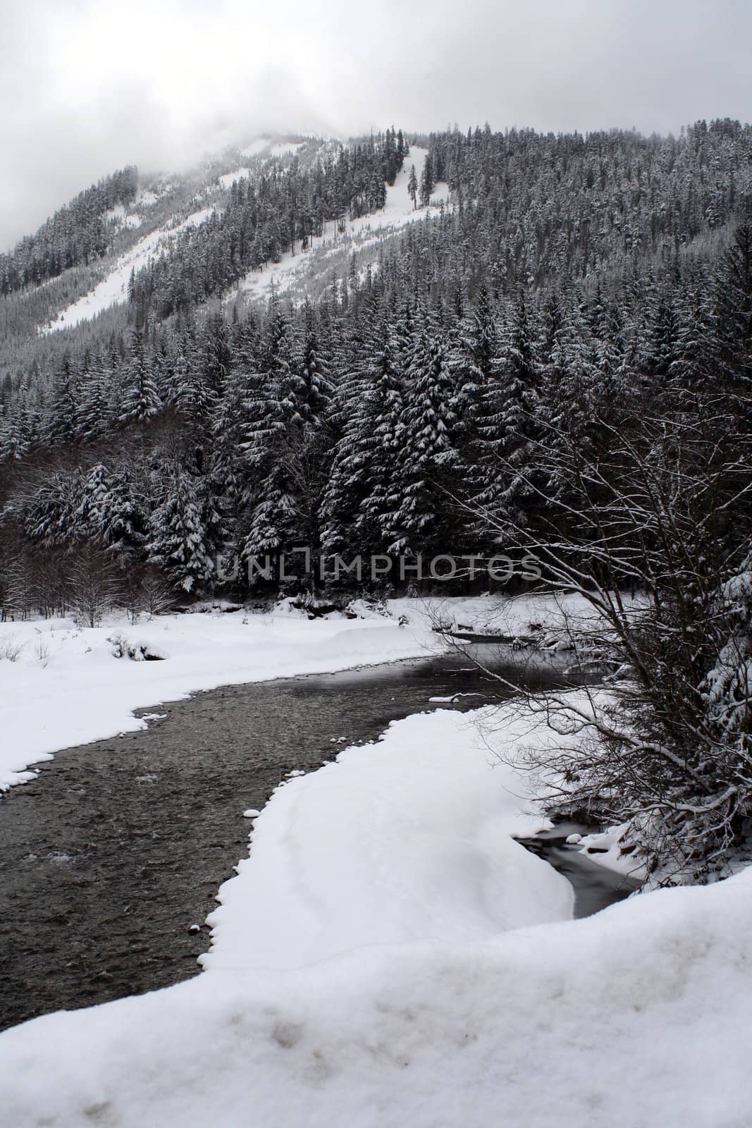 A stream flowing through snow covered mountains.