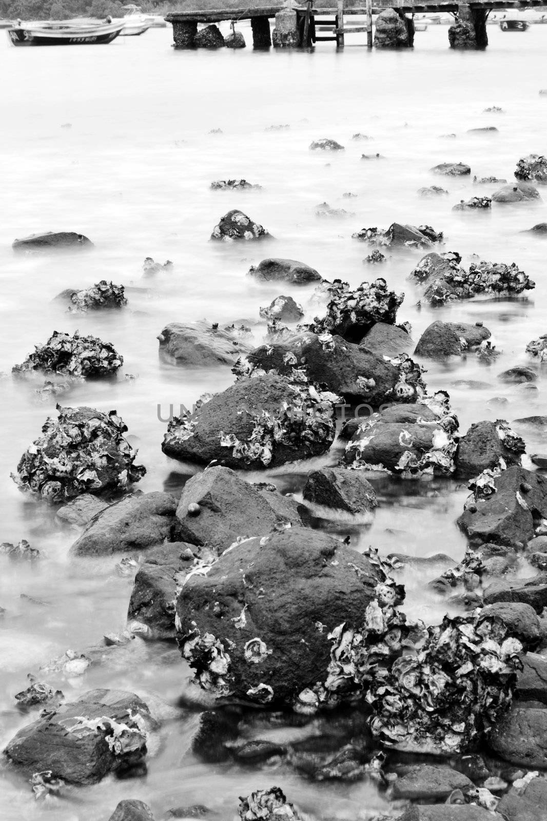 Long exposure of rock coast background