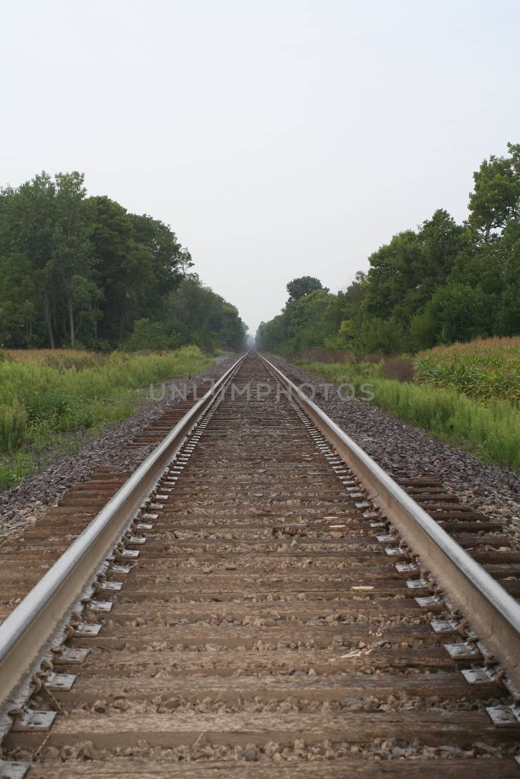 Rail road tracks heading straight to the horizon.