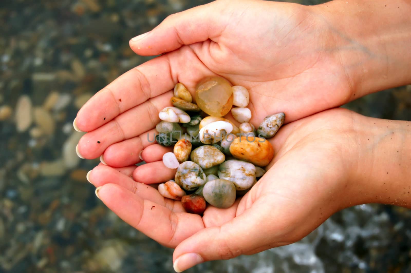 closeup of female hands holding set of colored sea shells