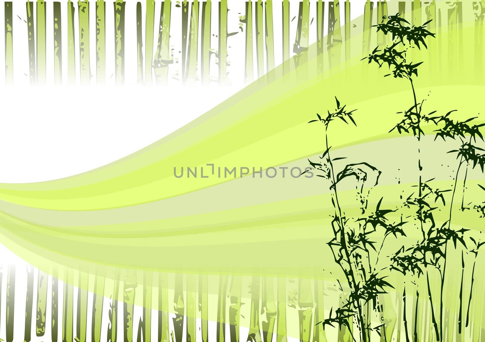 Bamboo Illustration by jasony00