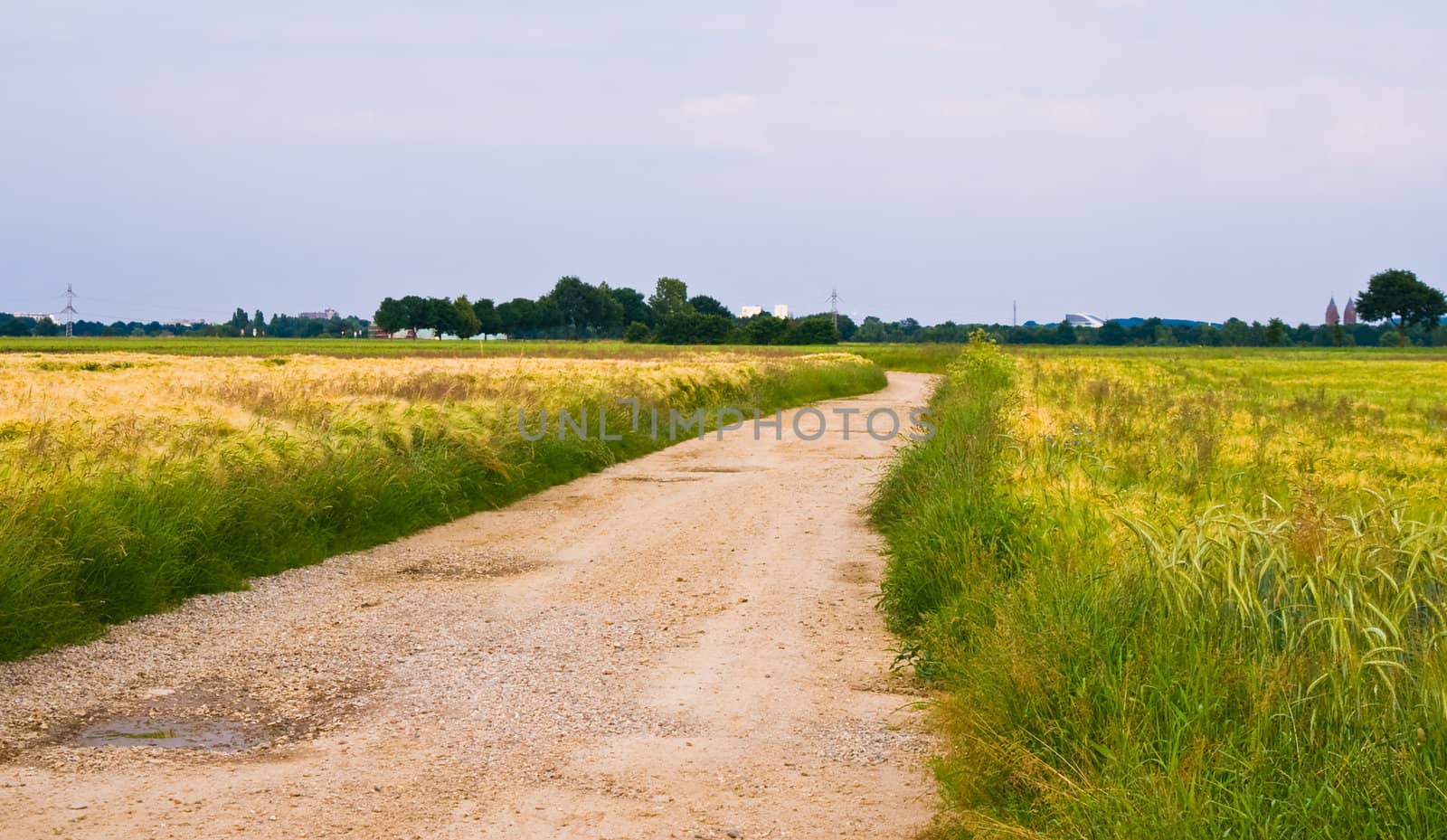 rural country scene with country road