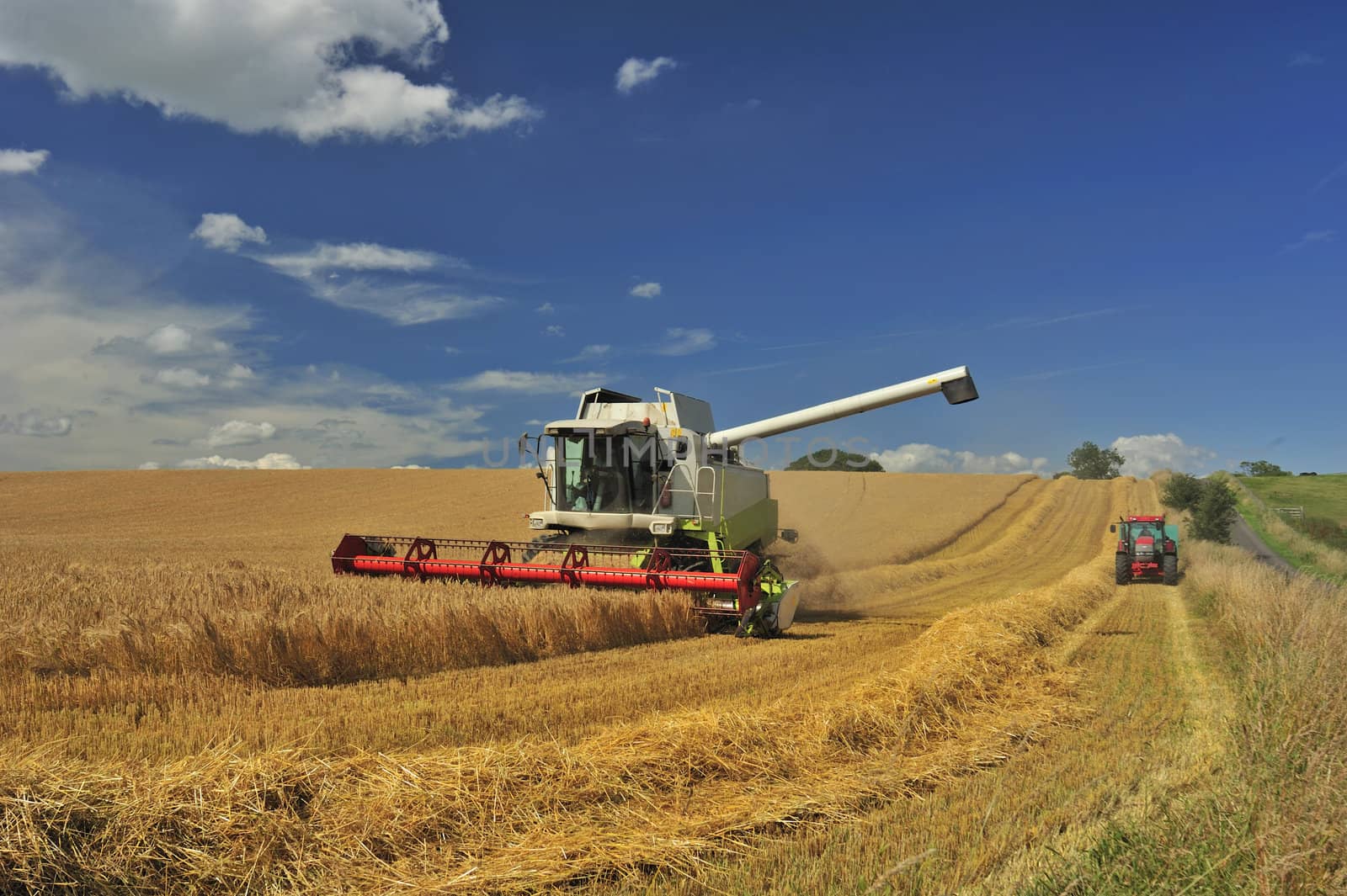 Combine harvesting by Bateleur